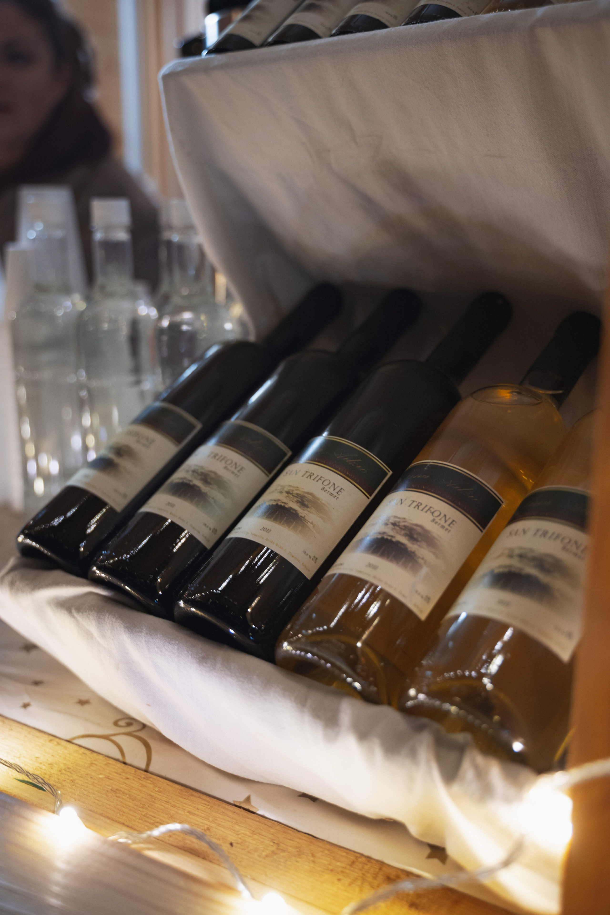 Novosadski Zimzolend. Жуков Студио