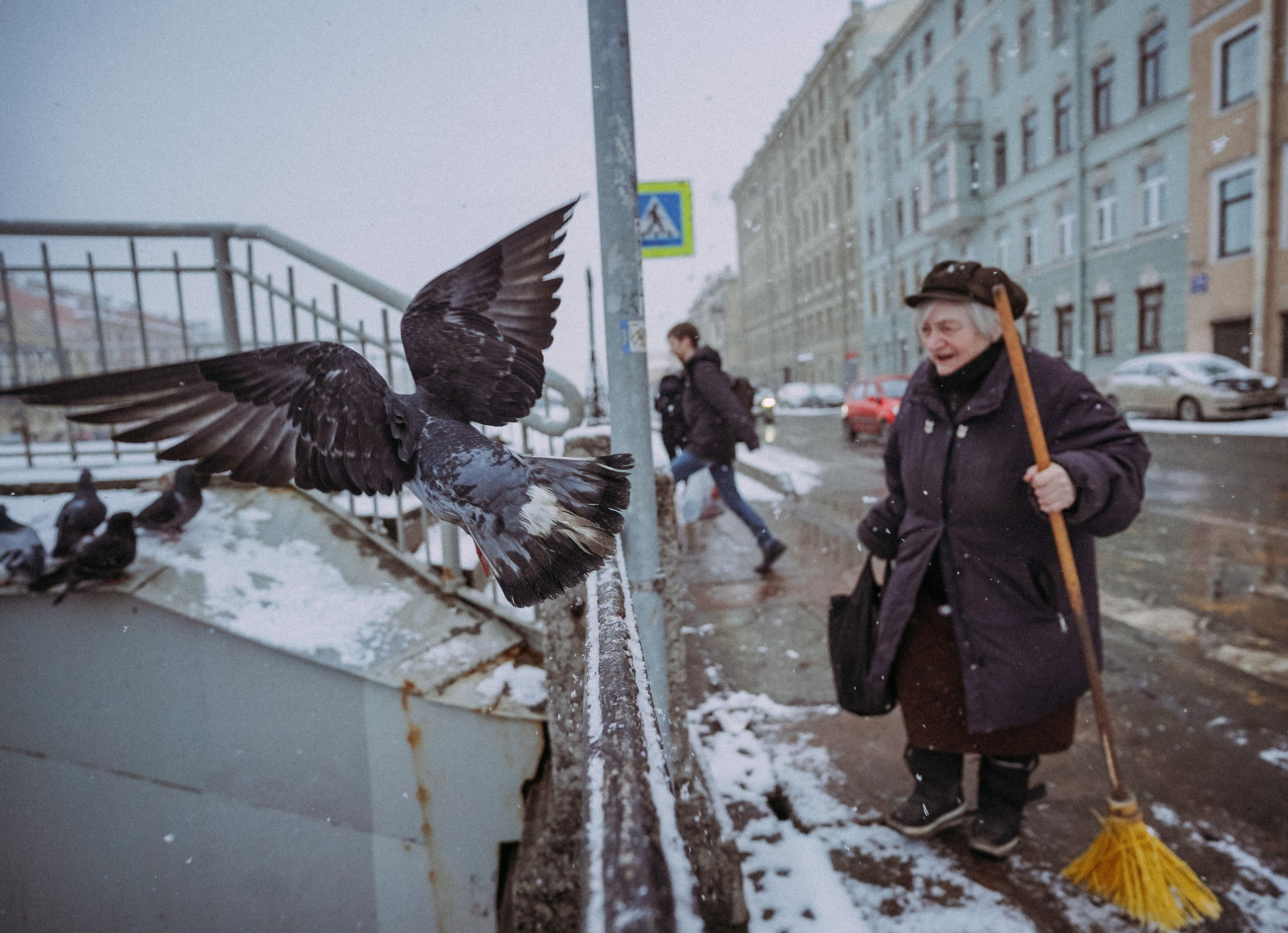 Пернатый психоз. Стрит-фотография, полная абсурда, идиотизма и красоты