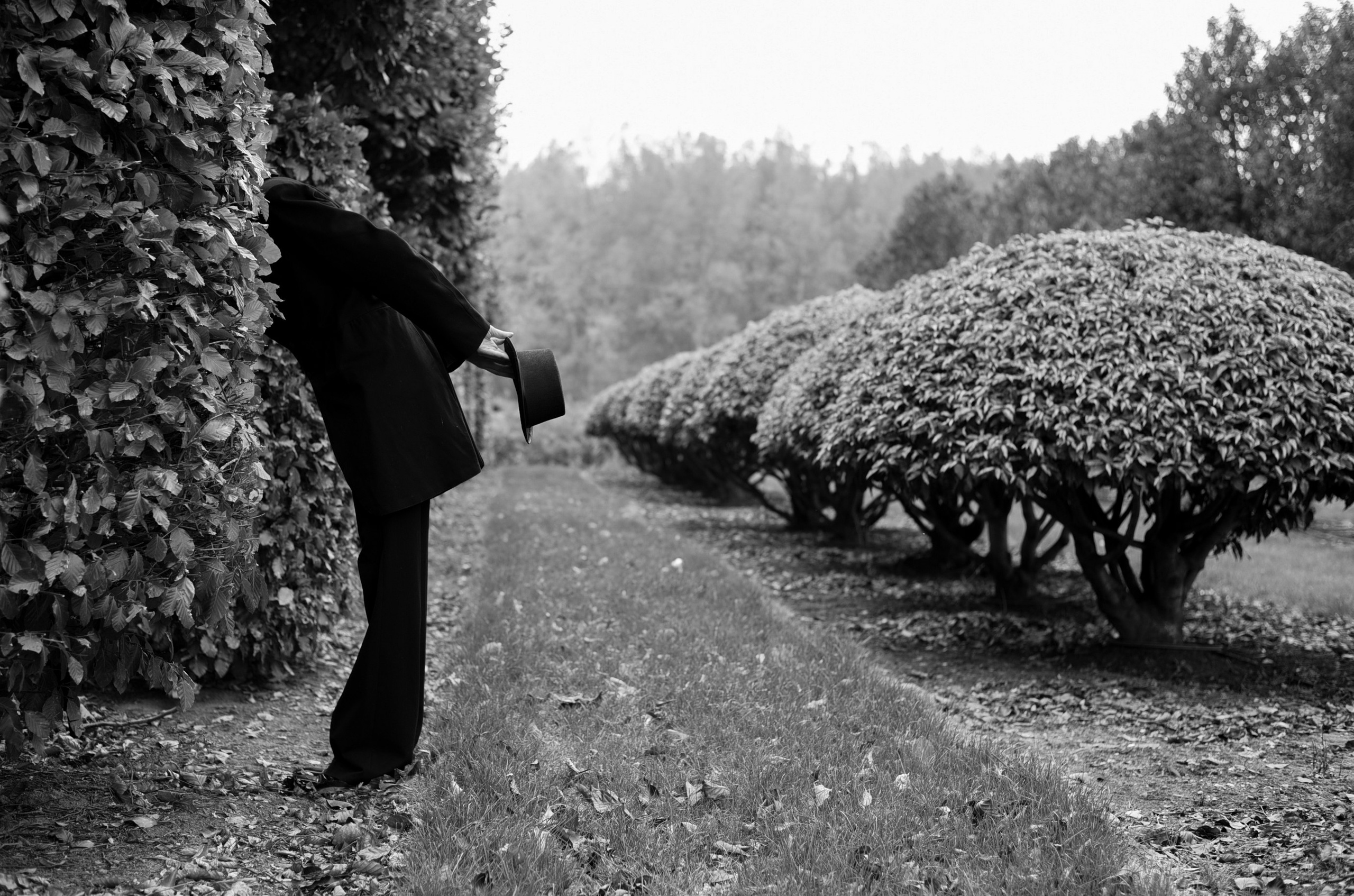 BeComing. Professional Photograher, Antwerpen/Belgium