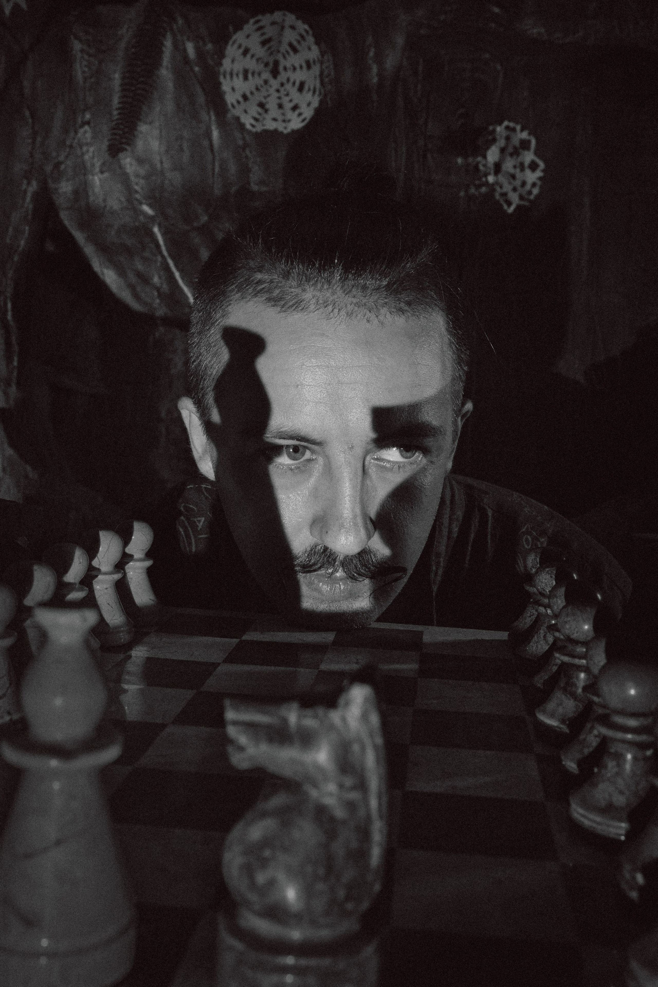 MR CAT. Профессиональный фотограф Нурмиева Вероника