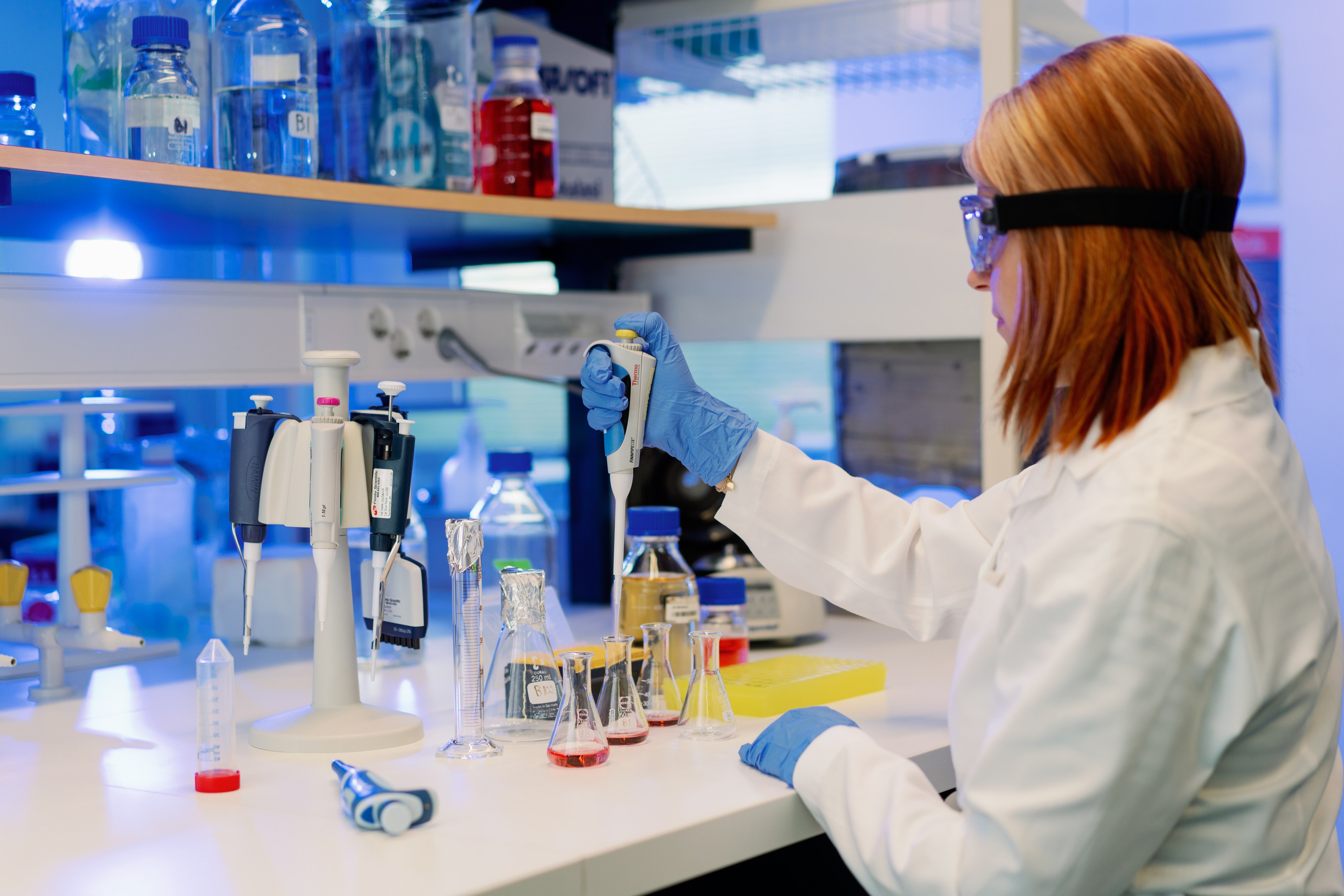 Companies. Camilla Bloom