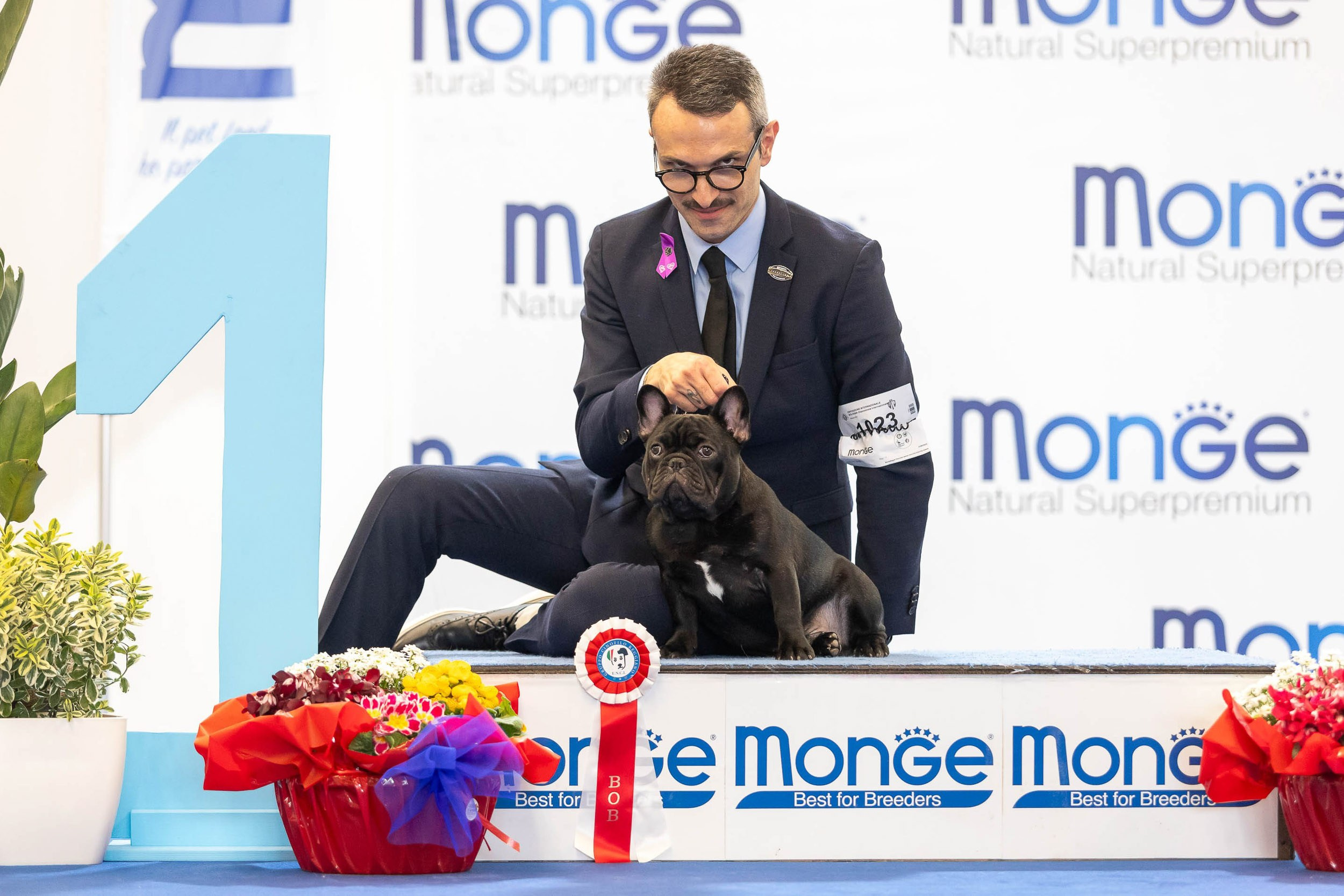 Dog Shows. Yurii Orlyk Photography