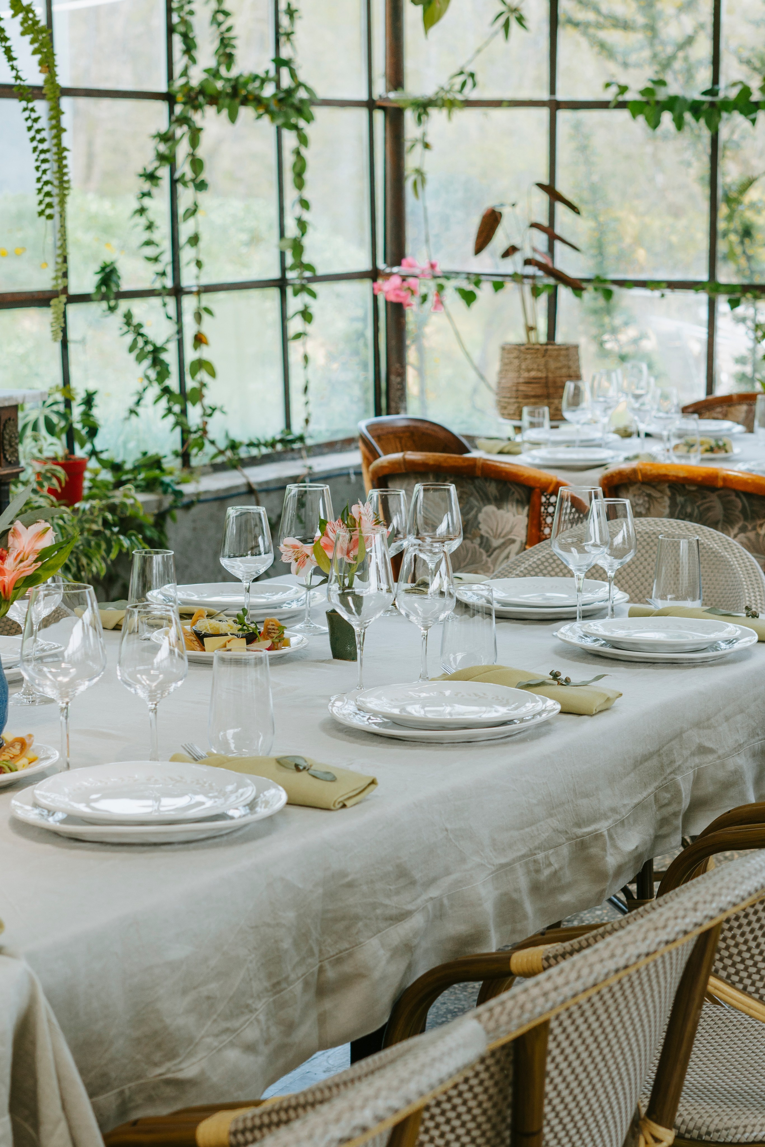 Food. Photographer and videographer for business in Tbilisi Catrine Poznyak