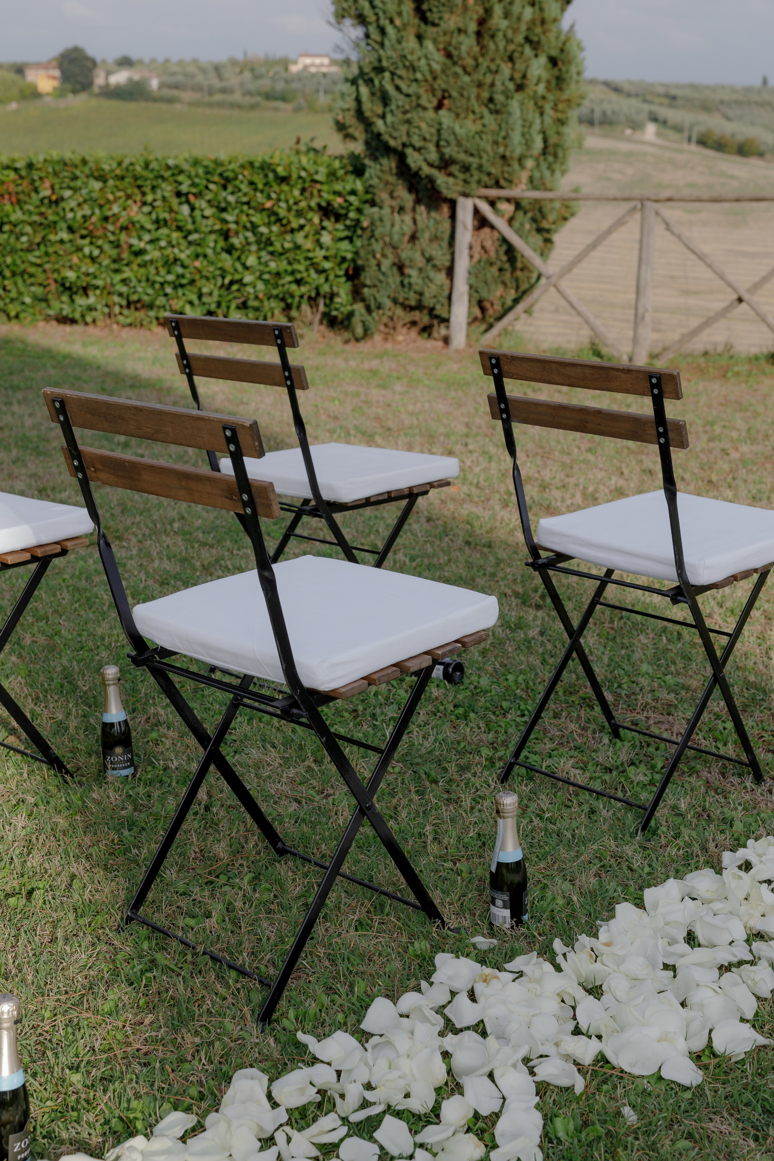 Dom&Ally. Весільний фотограф Вікторія Саврук