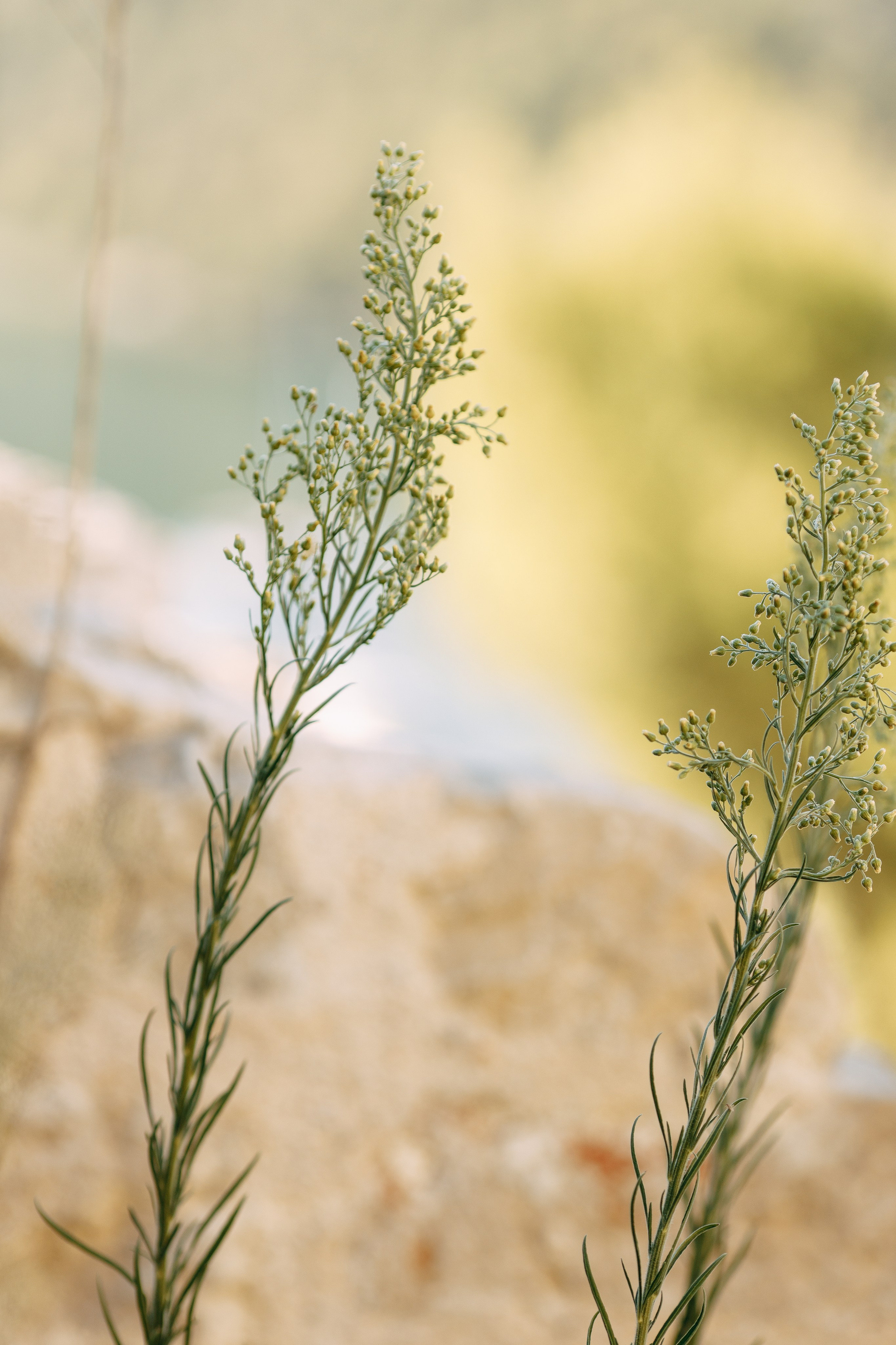 Love Kroatien. Professionele fotografin in Münsingen Olesia Wegele