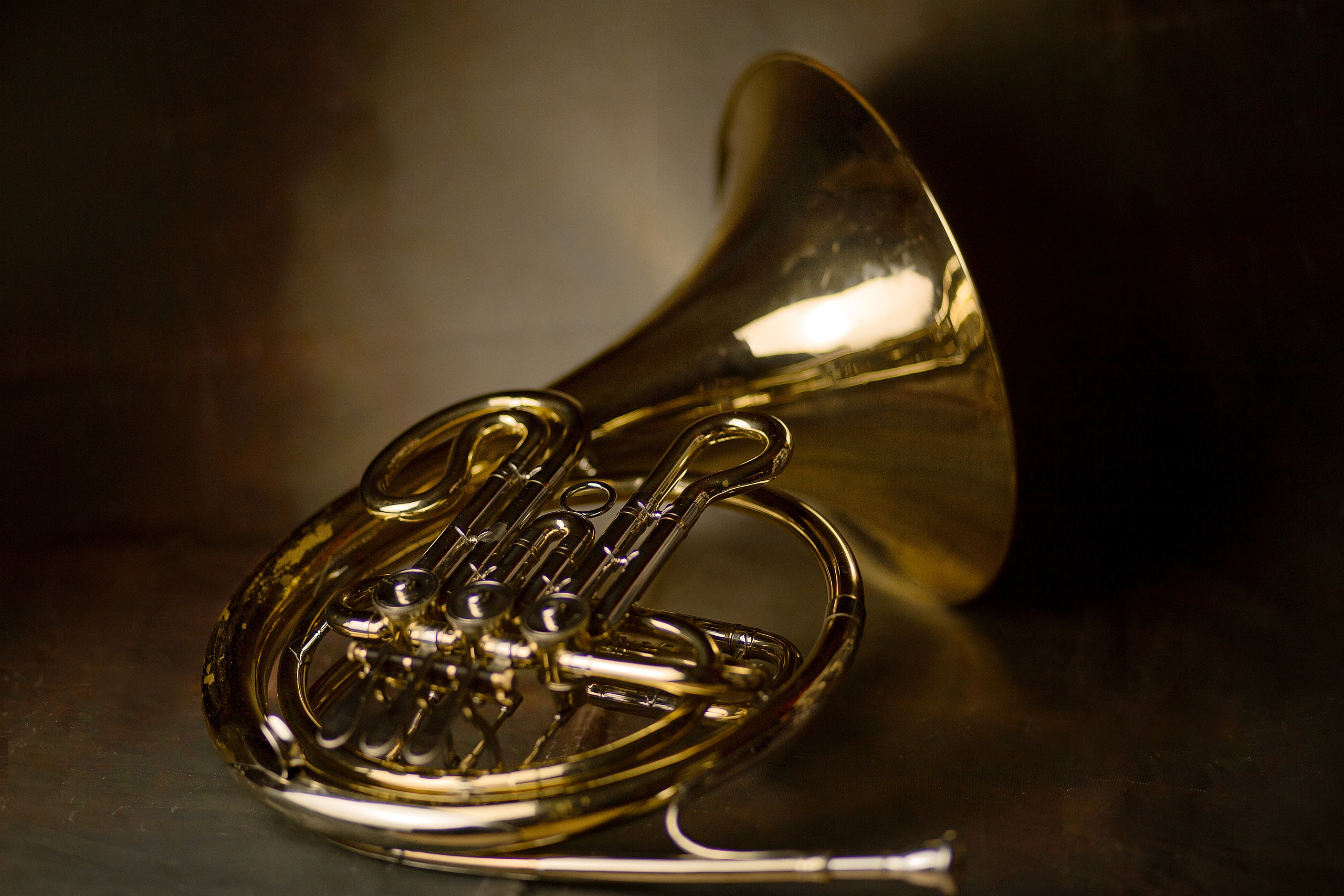  Waldhorn auf dunklem Hintergrund Objekt Foto 