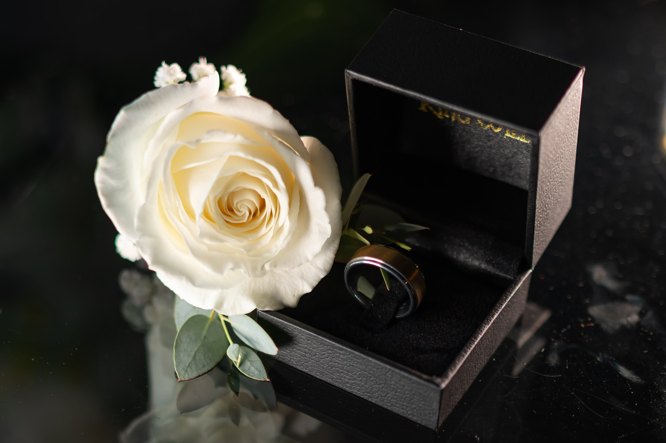 Nathalie & Anthony, East Brunswick, NJ. Wedding Photo & Video