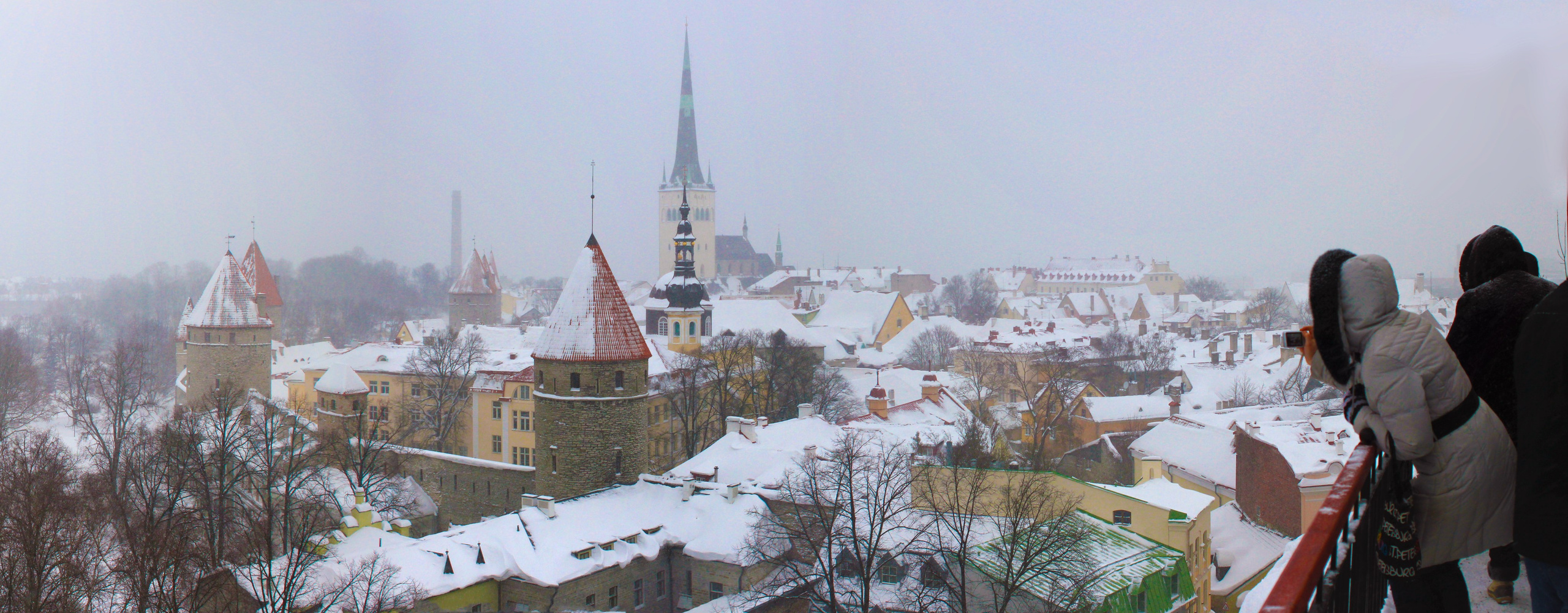 2011. Стрит-фотография, полная абсурда, идиотизма и красоты