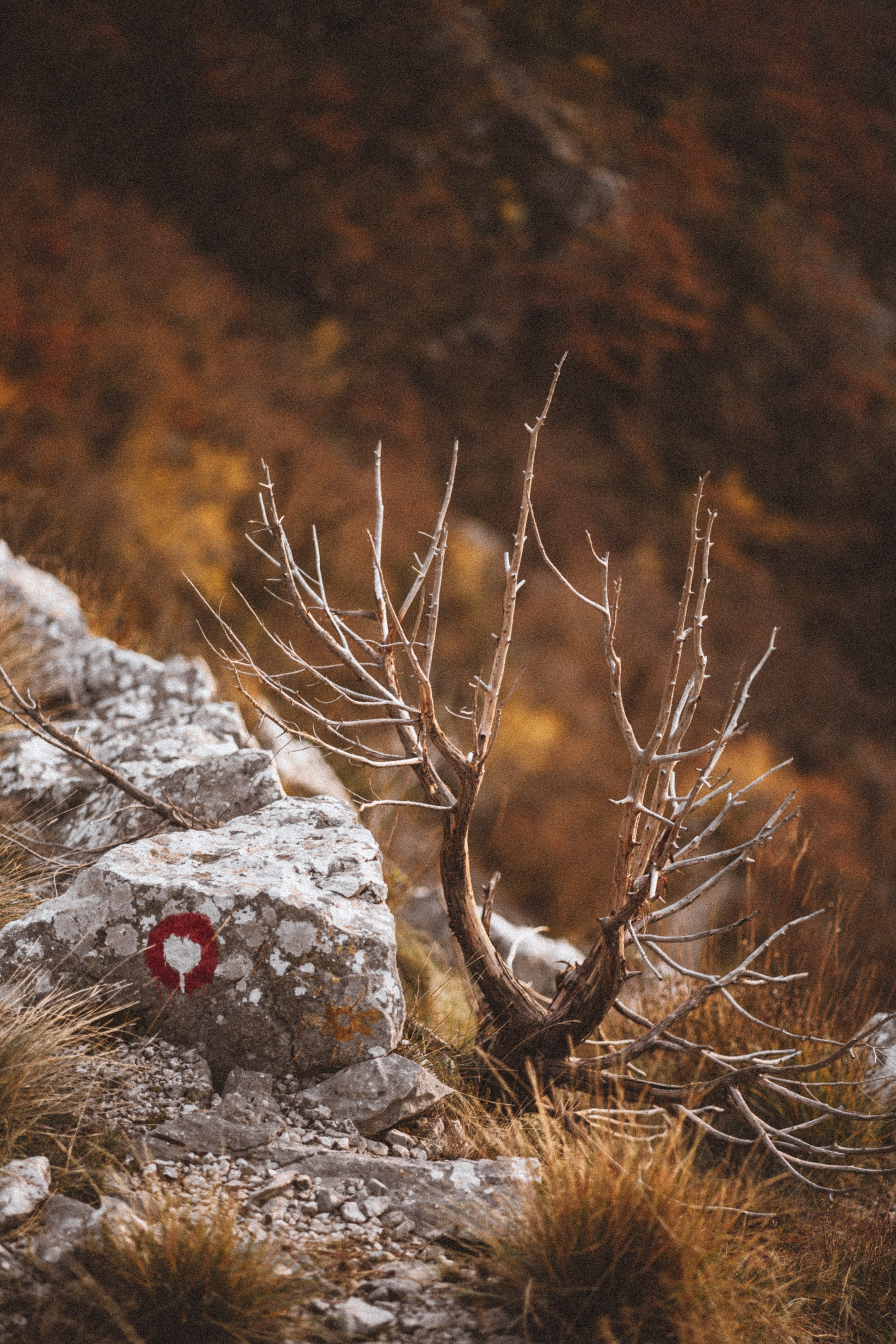 LANDSCAPE. PHOTOGRAPHER|VIDEOGRAPHER MONTENEGRO