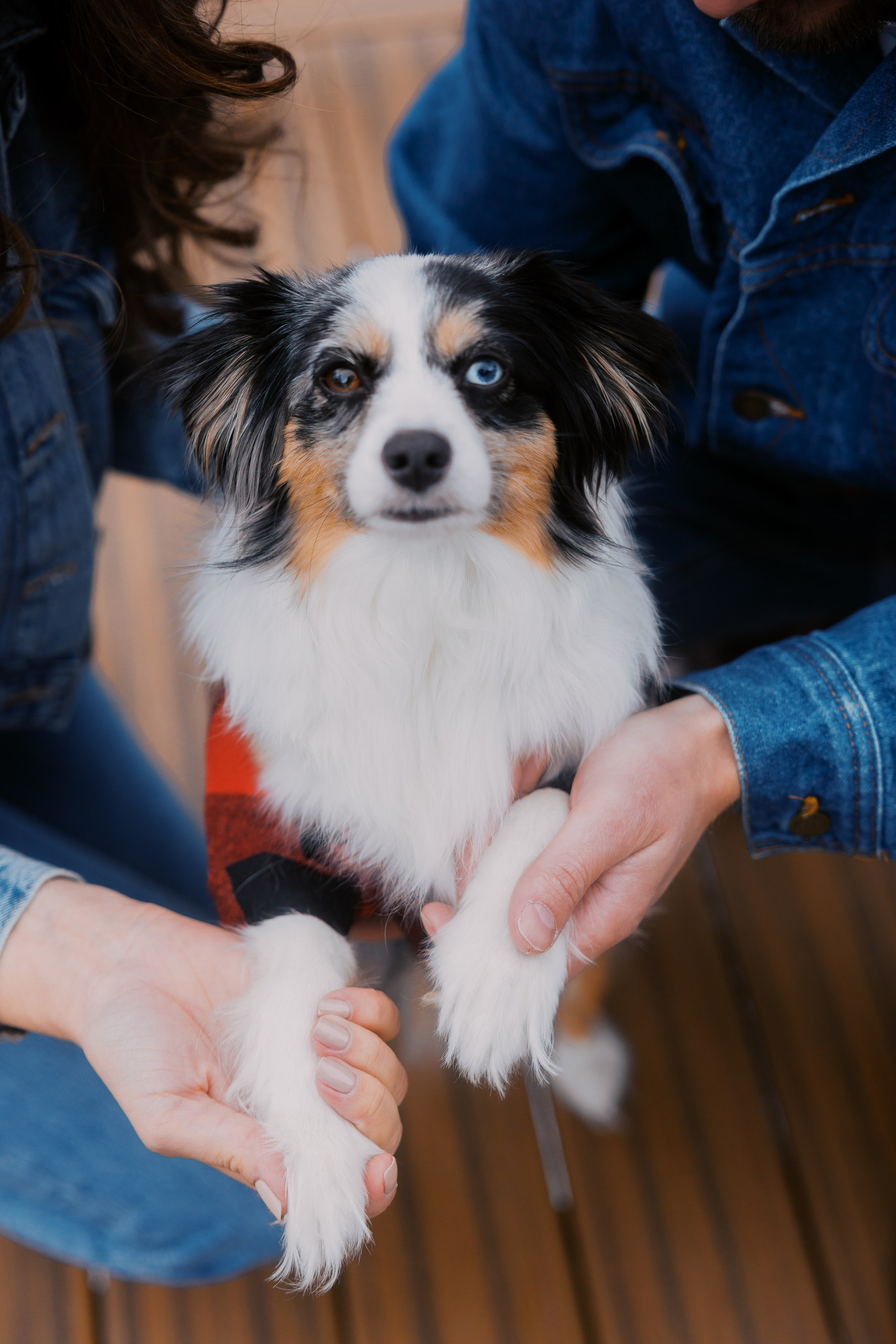 Ski engagement session. Home