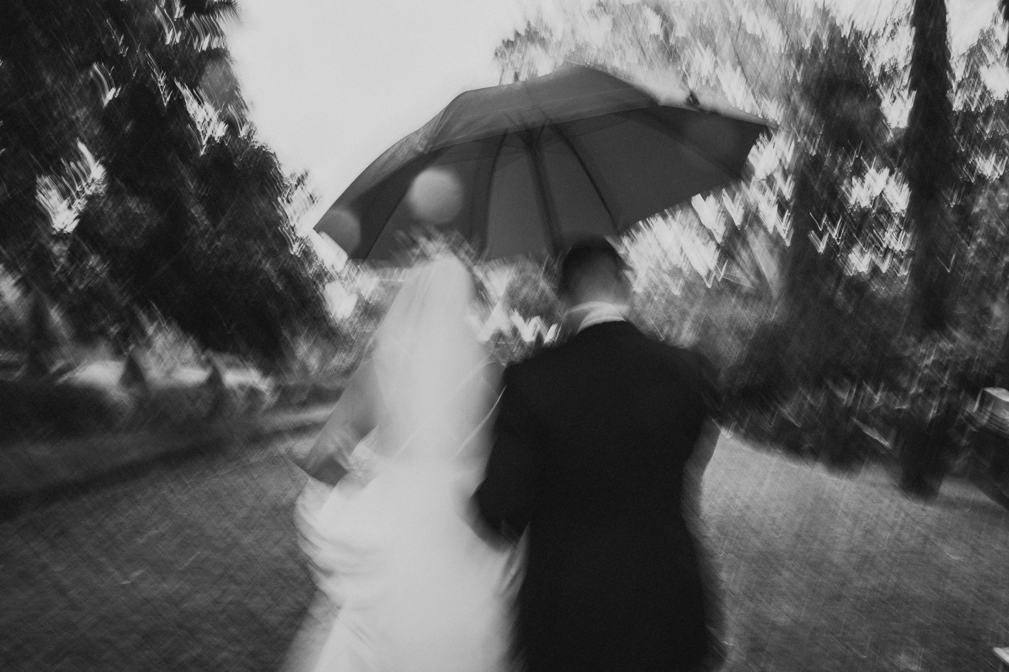 Sofi & Fer. Wedding and family photographer in Mexico City