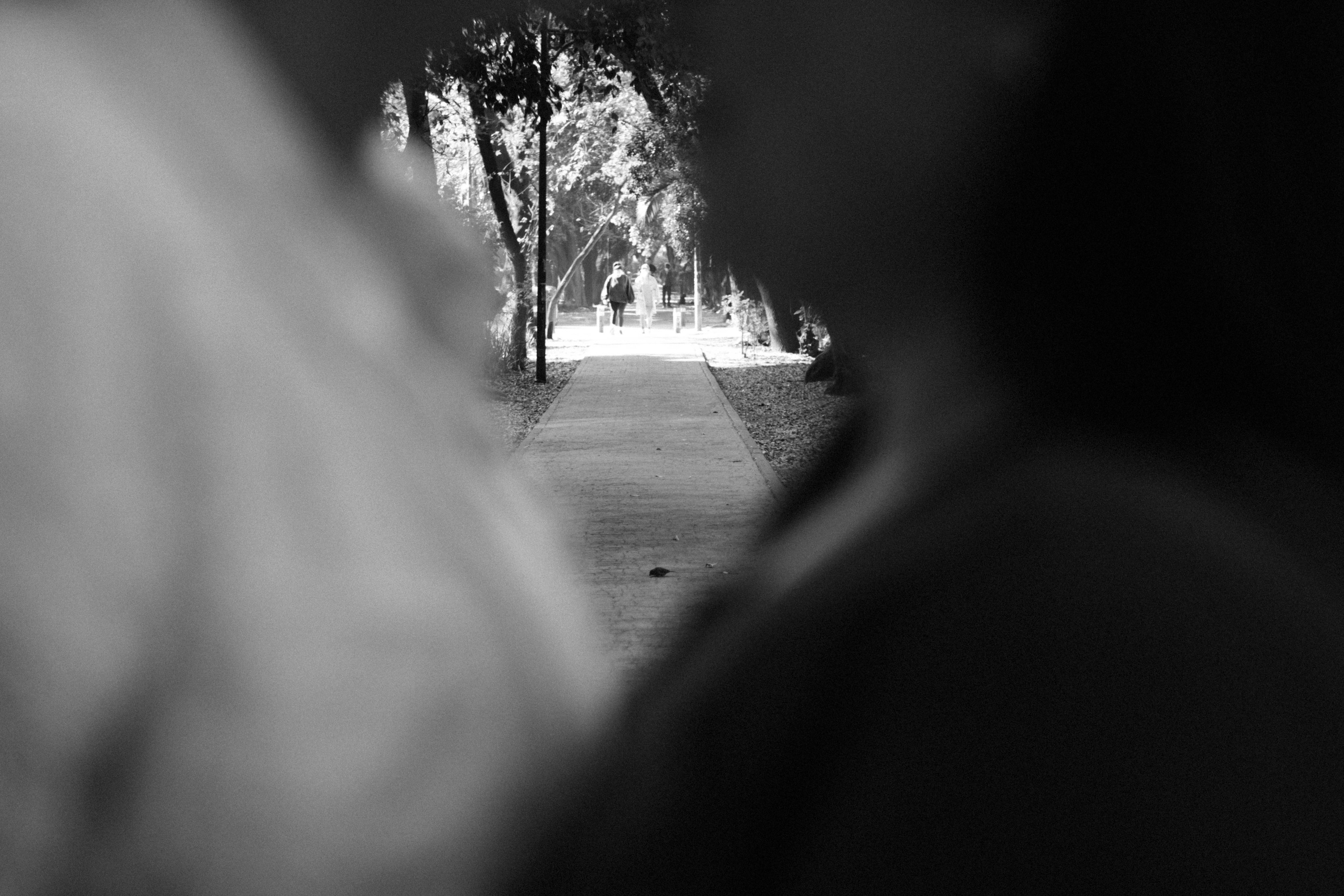 Adele & Jess. Wedding and family photographer in Mexico City