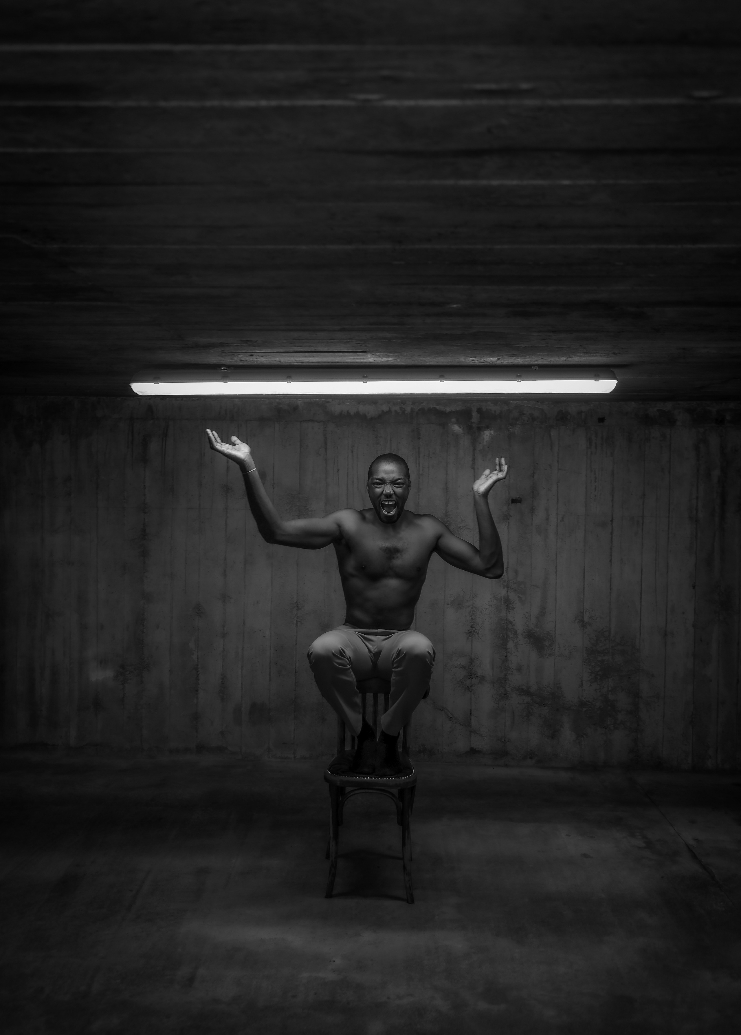 STEVE. Photographe Karen Tatevosian