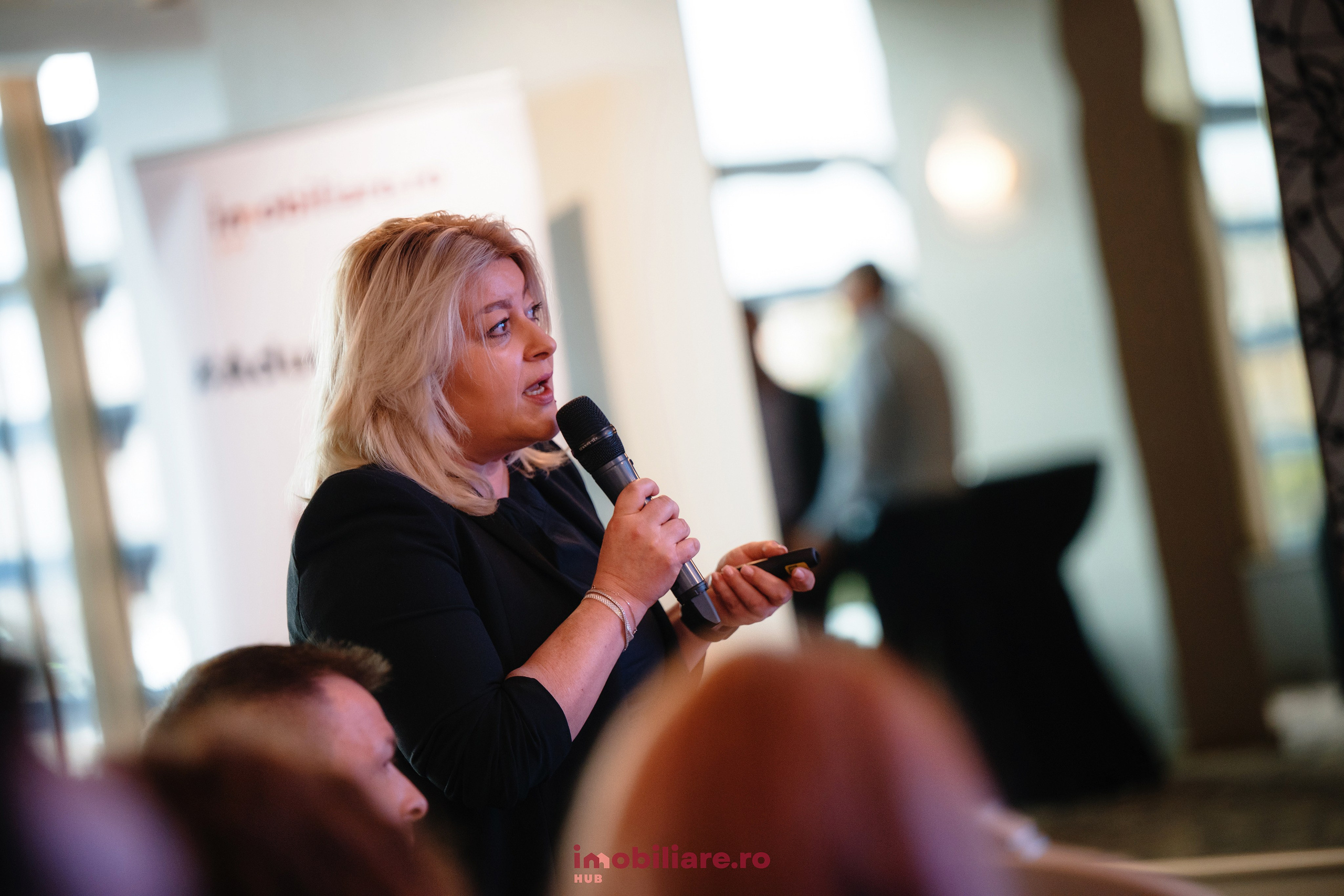 Imobliare HUB. Laurentiu Stefan StoryTeller