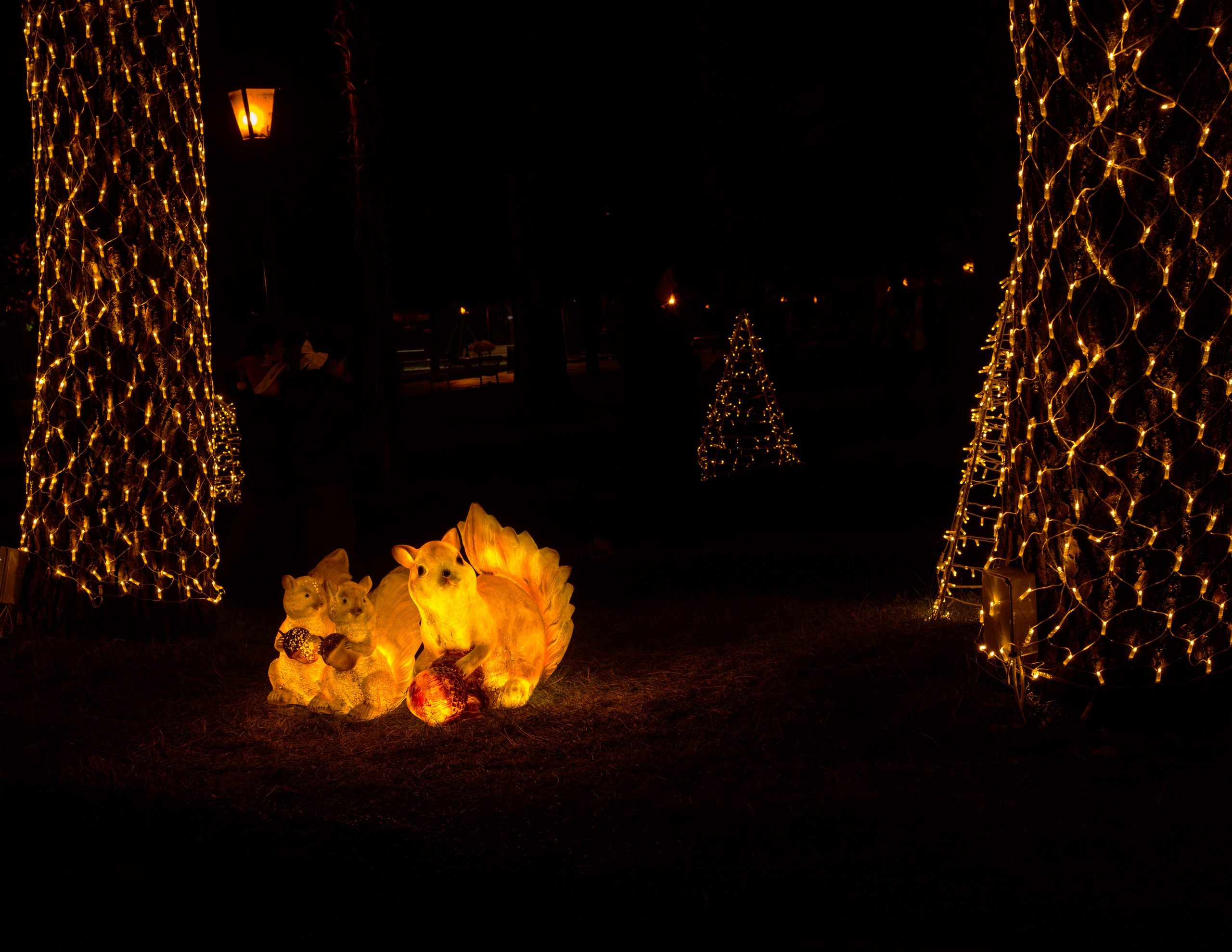 Urban. PHOTOSTORYNIKA