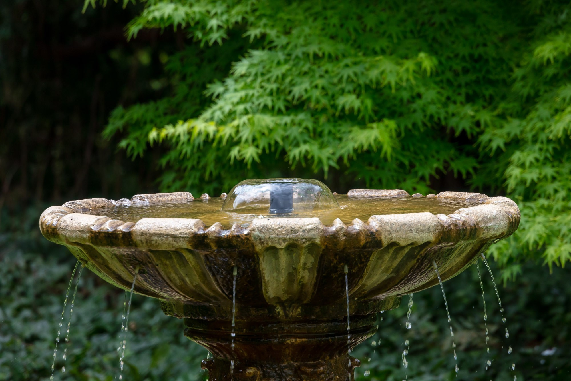 Environment. Reportage photographer Bratislava | Репортажний фотограф Братислава