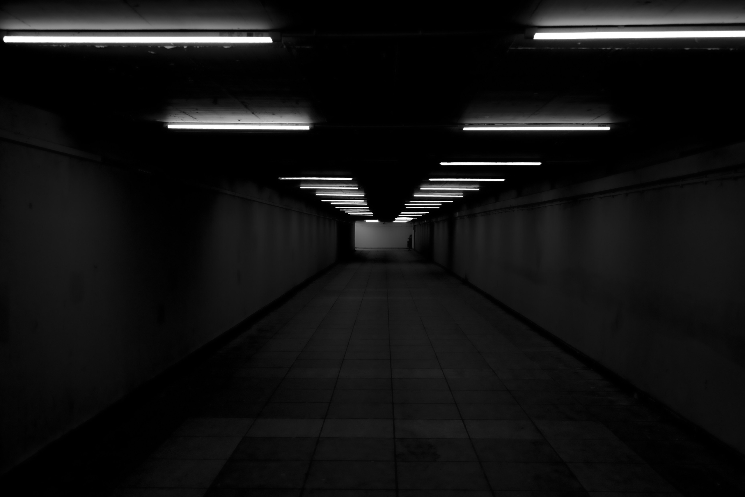 Fotograf Nunta Bucuresti