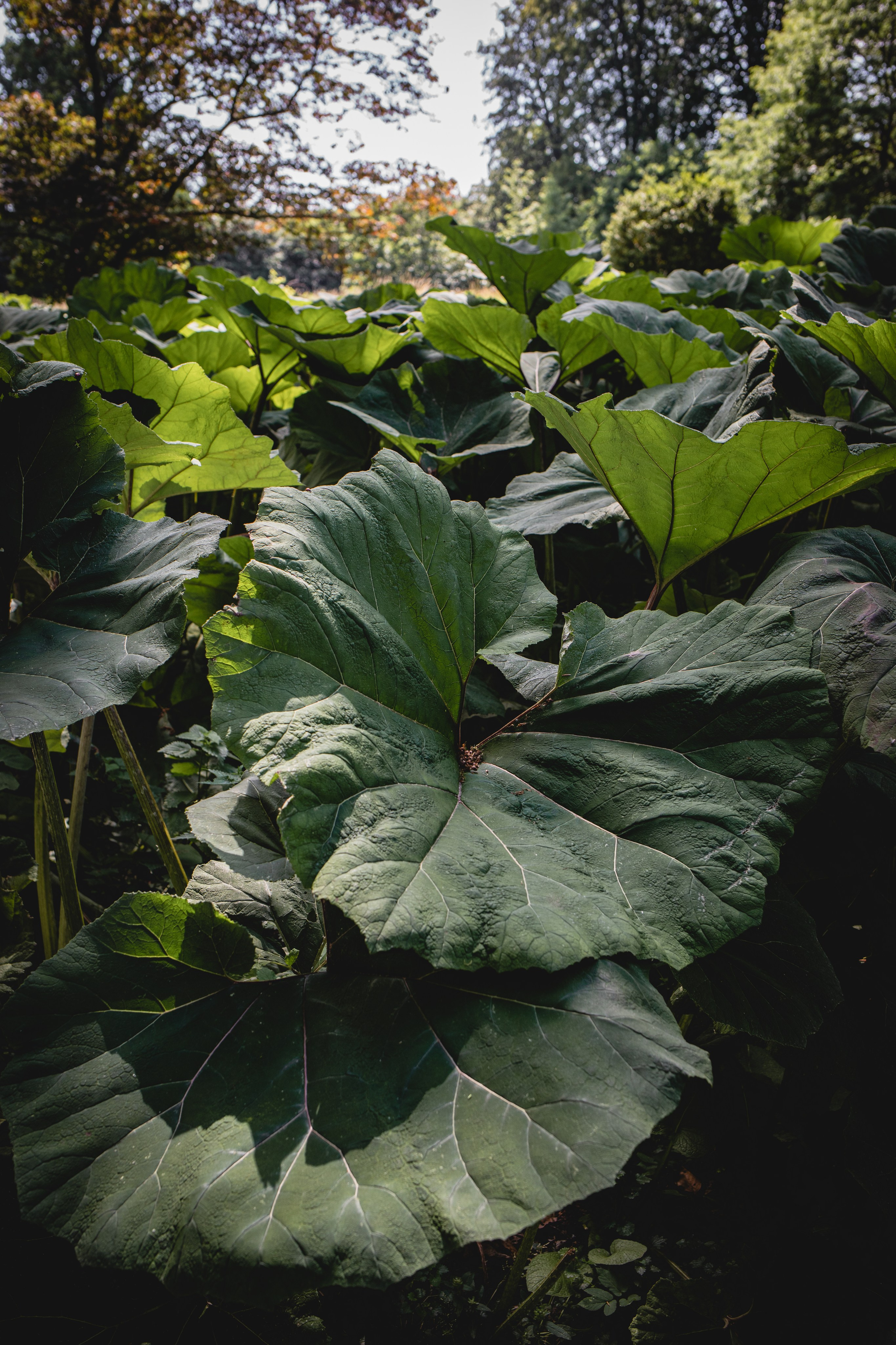 Elissa | Mads. Professional wedding photographer in Copenhagen, Denmark — Julia Byron