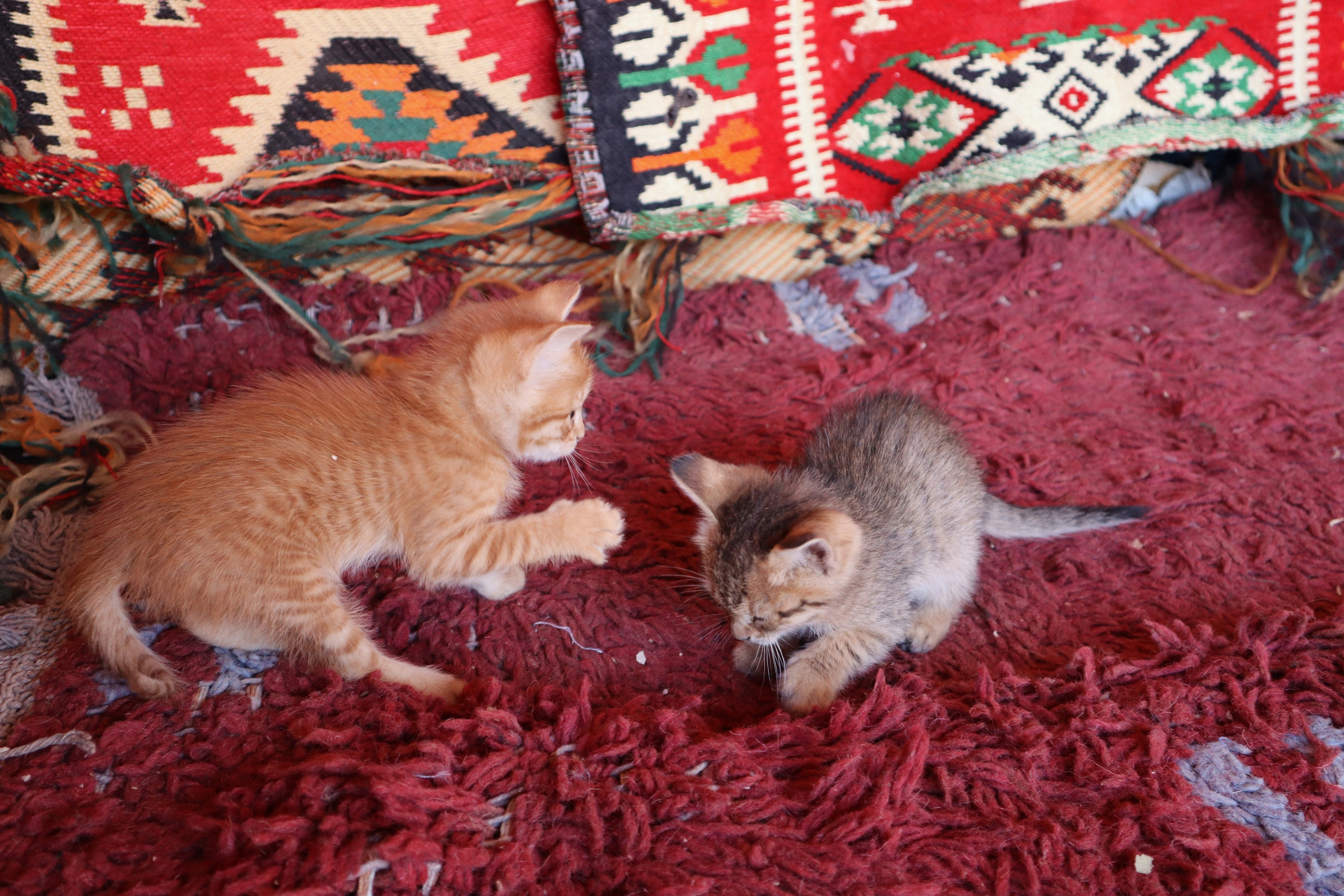 Travel photographer Ksenia