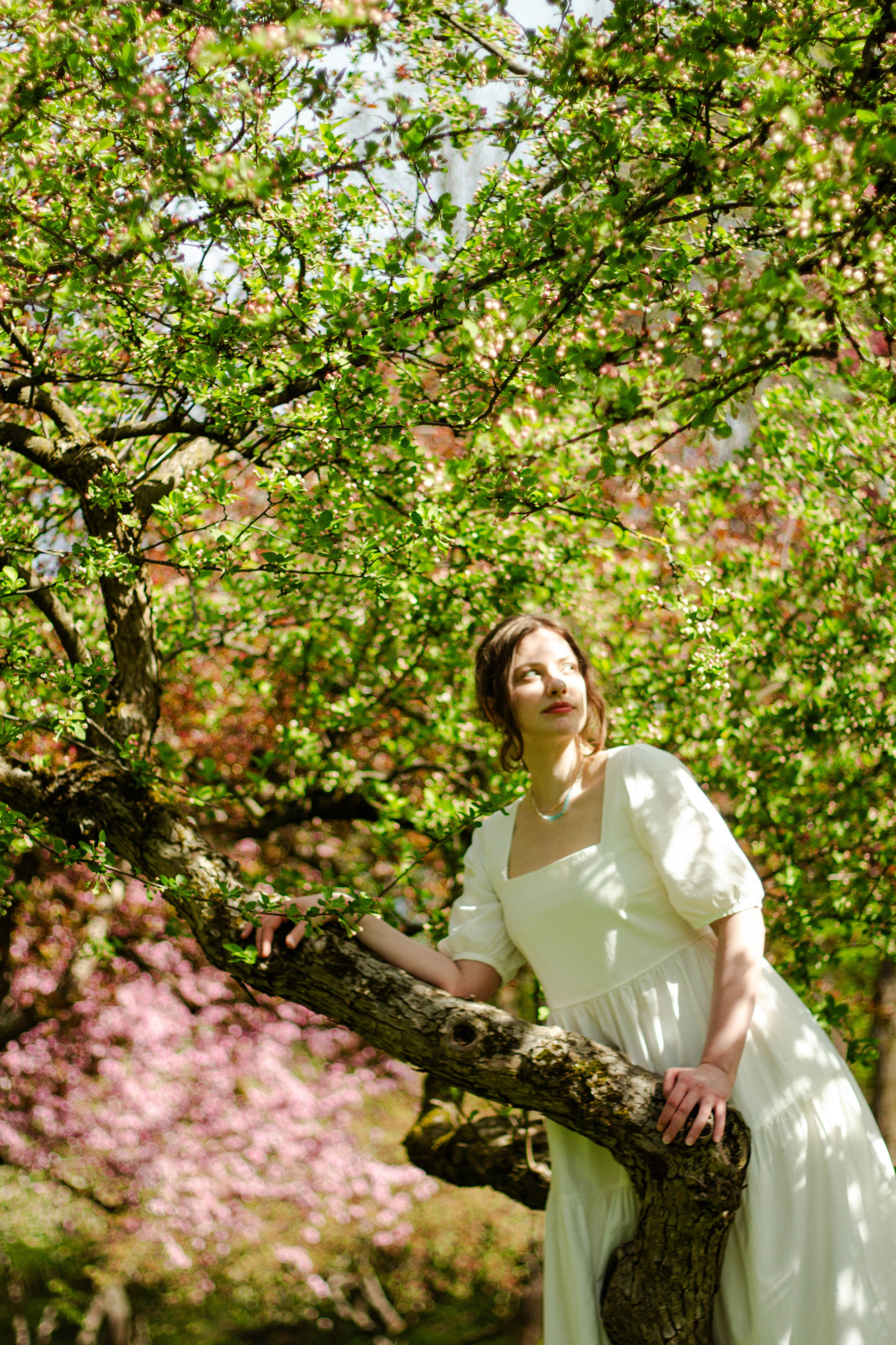 Arina. Look Around You