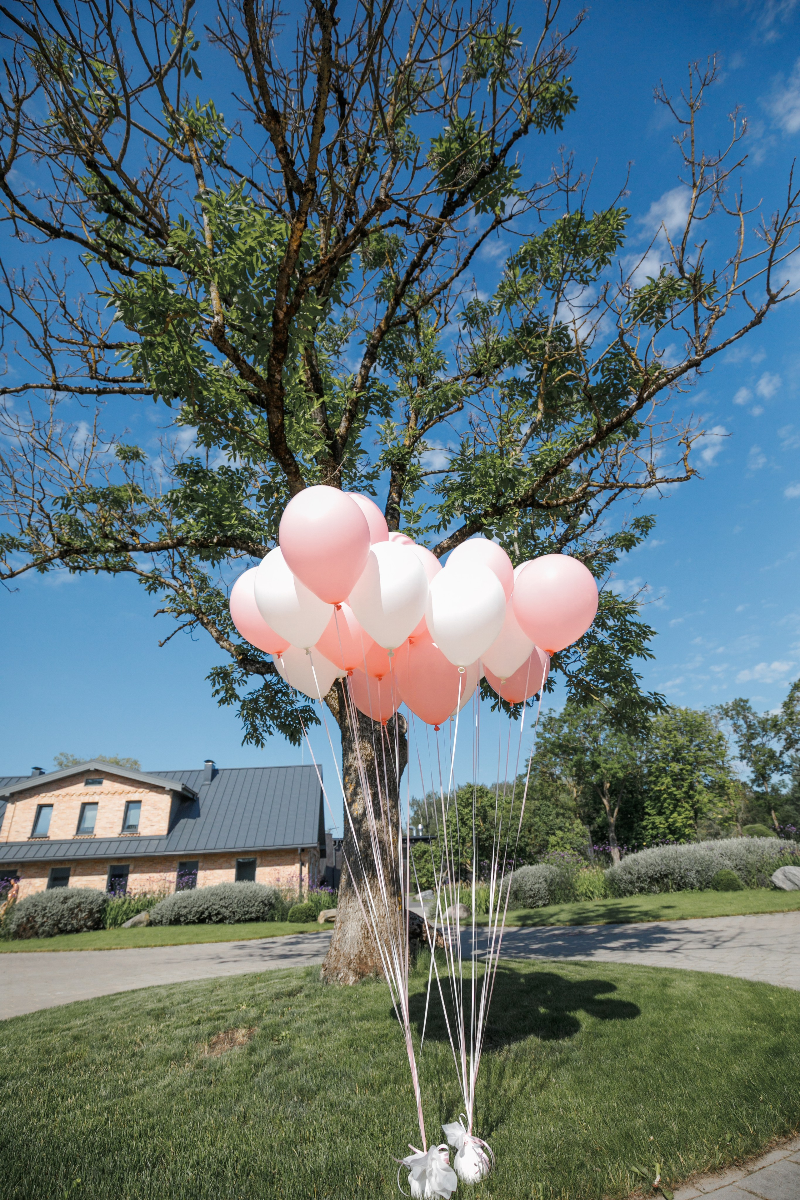 Art Event kāzu dekoratoru kursi. Sandra Garanca Portrait and event photographer