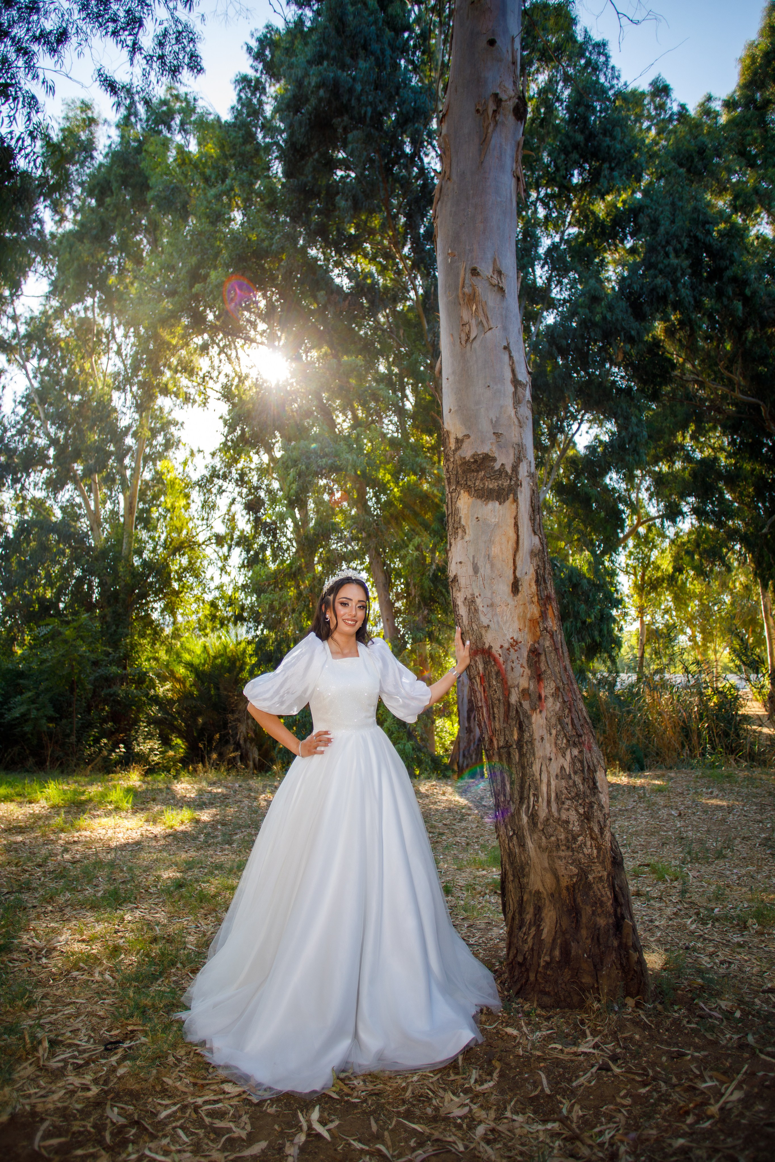 T&D. משה מנשה צלם חתונות