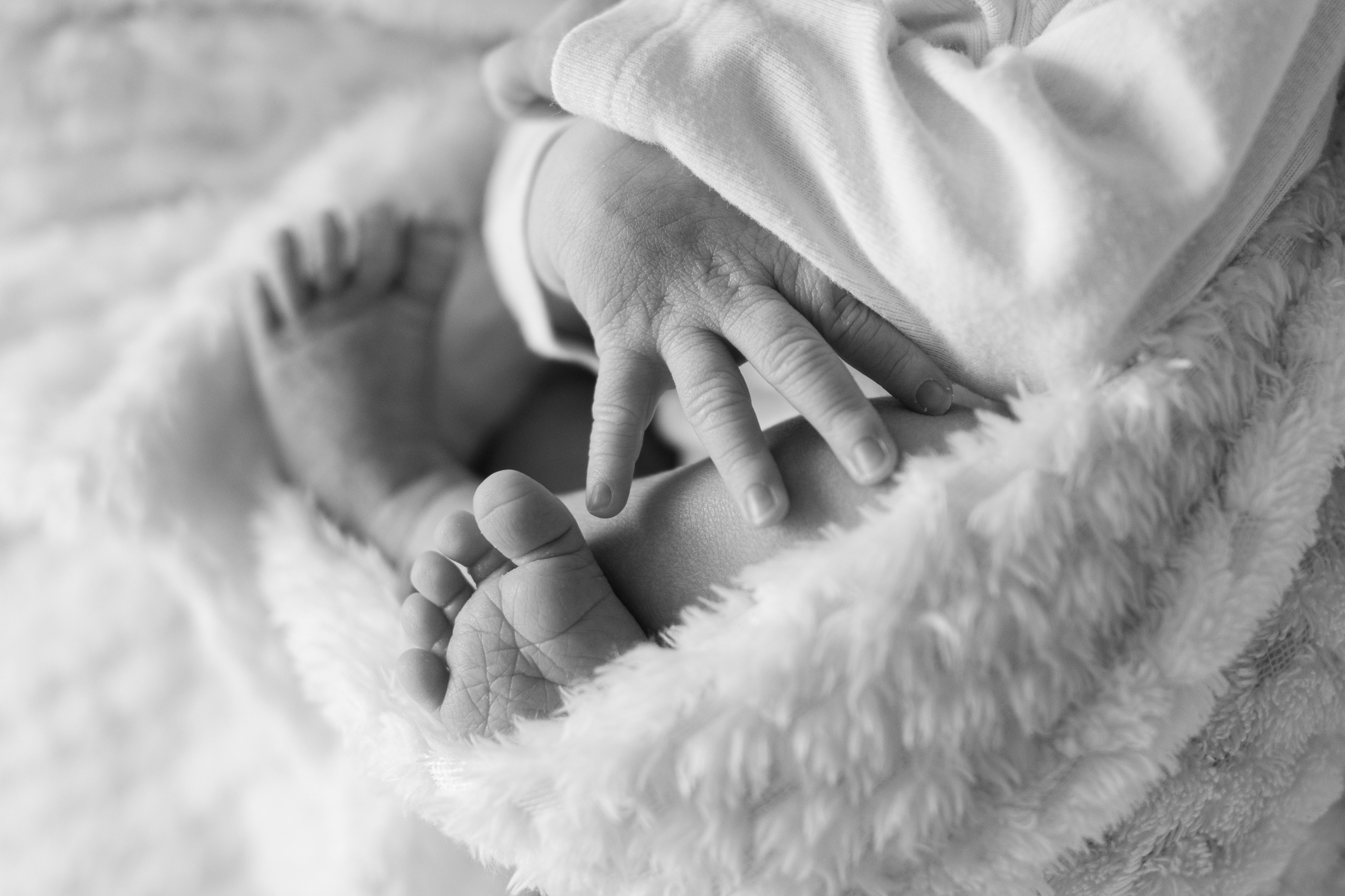 Fresh 48. Fotografka Andrea Hlaváčová / Karlovarský kraj / Karlovy Vary Sokolov