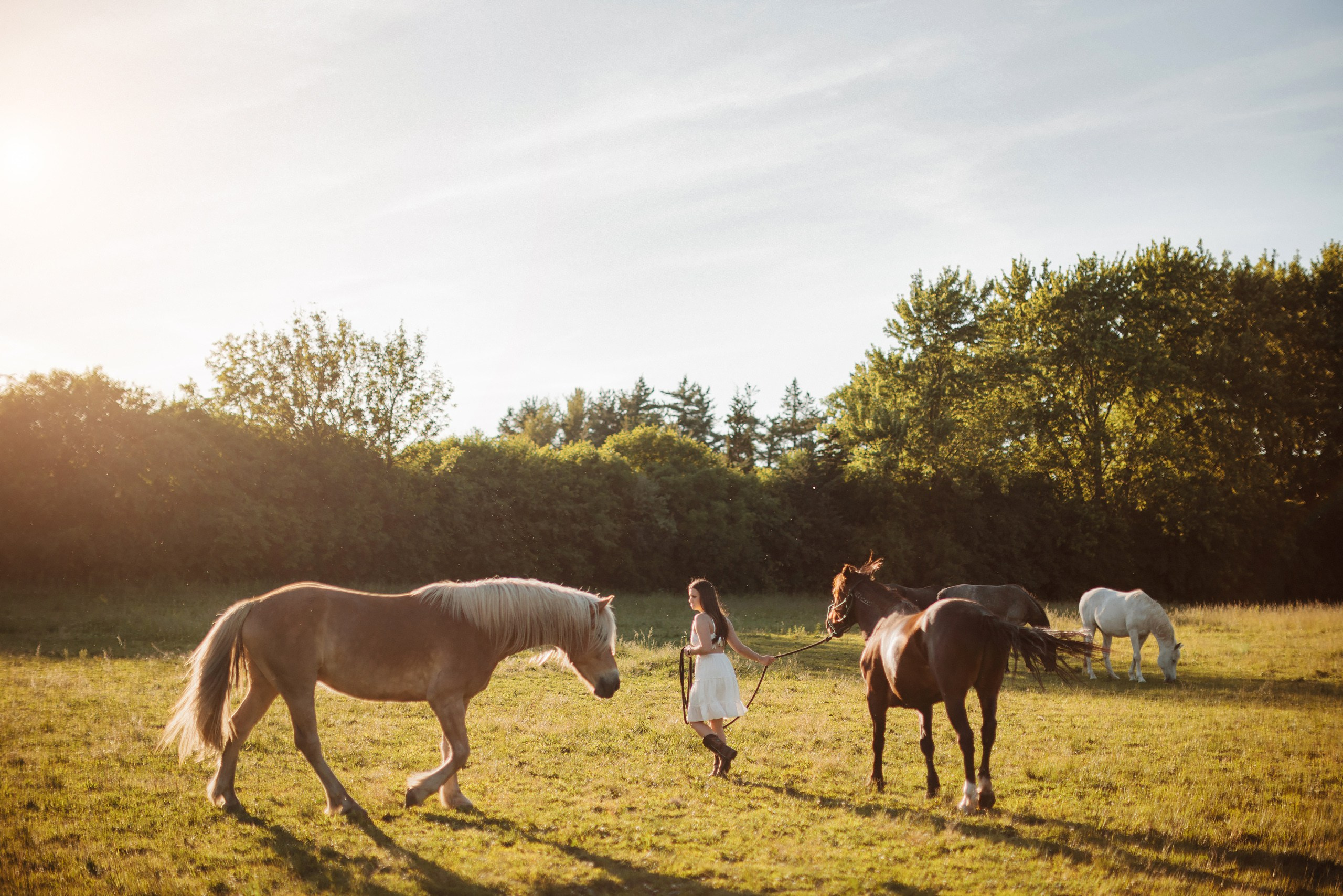30.05.24 Family Photoshoot. Wedding family event photographer in Chicago Nick Yushevich