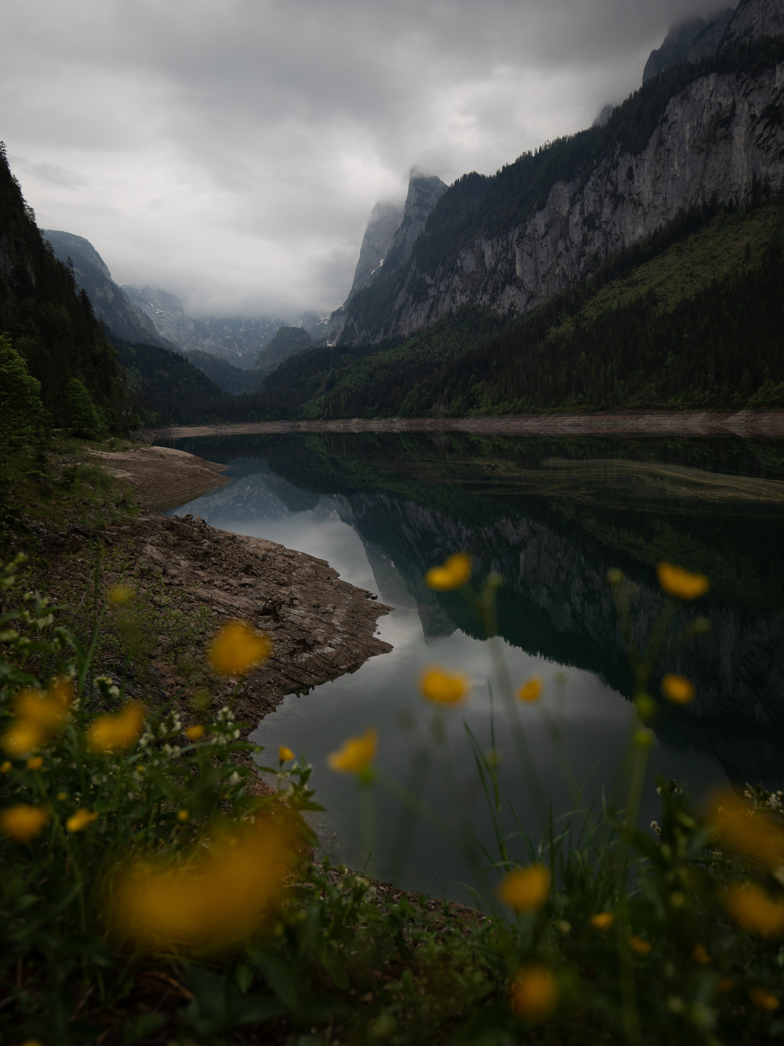 Lightroom Presets. Commercial & Lifestyle Fotograf | Wiener Neustadt