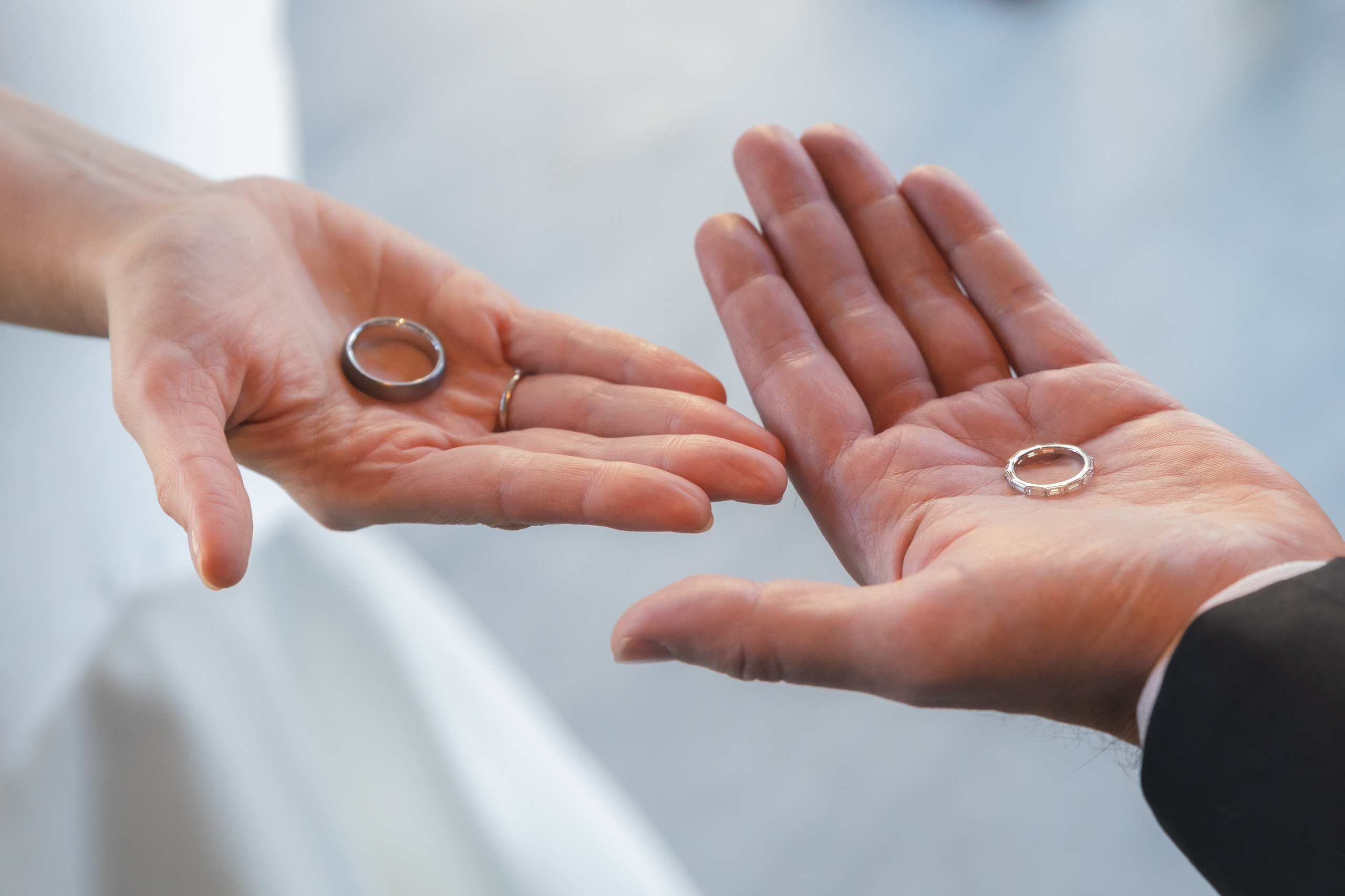 Arleta & Barry, The Skylark, NY. Wedding Photo & Video