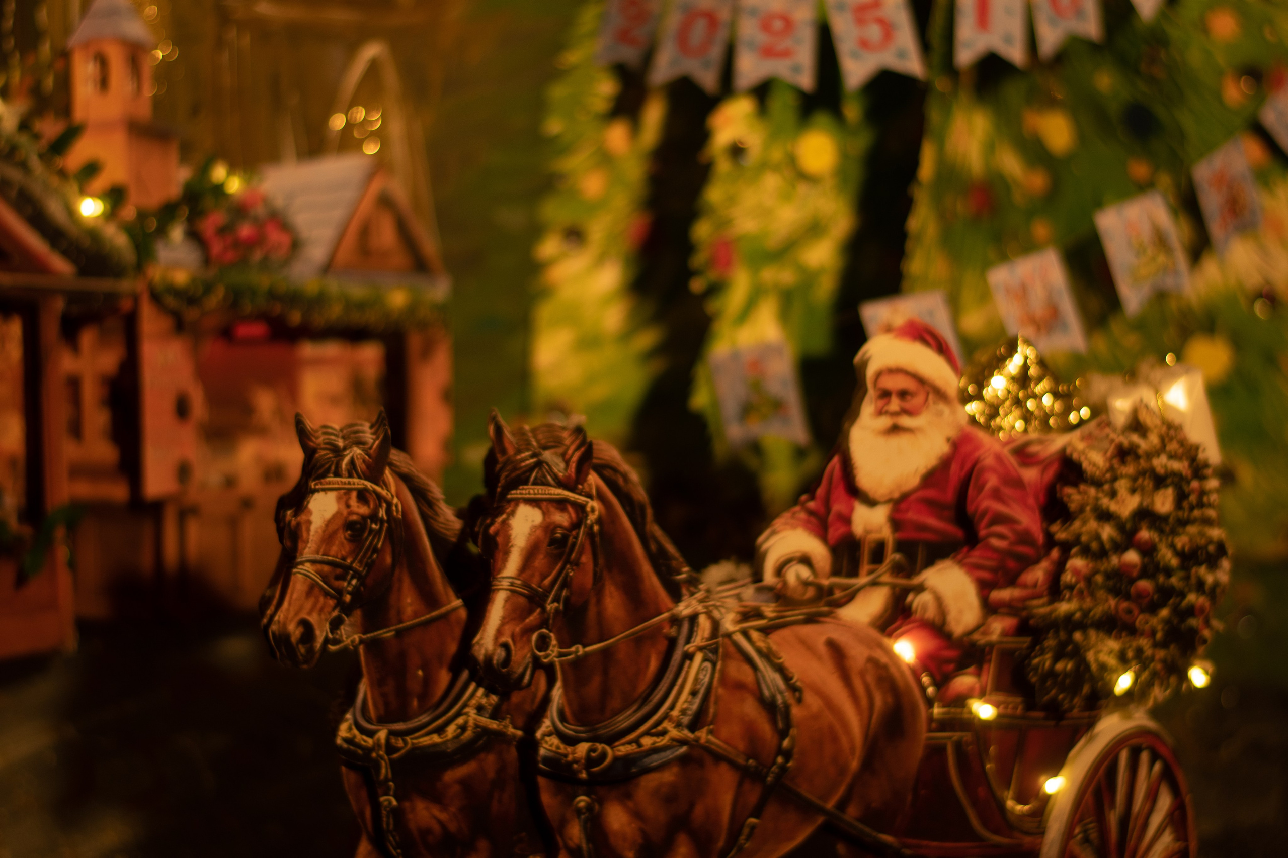 Проект. Семейный и детский фотограф