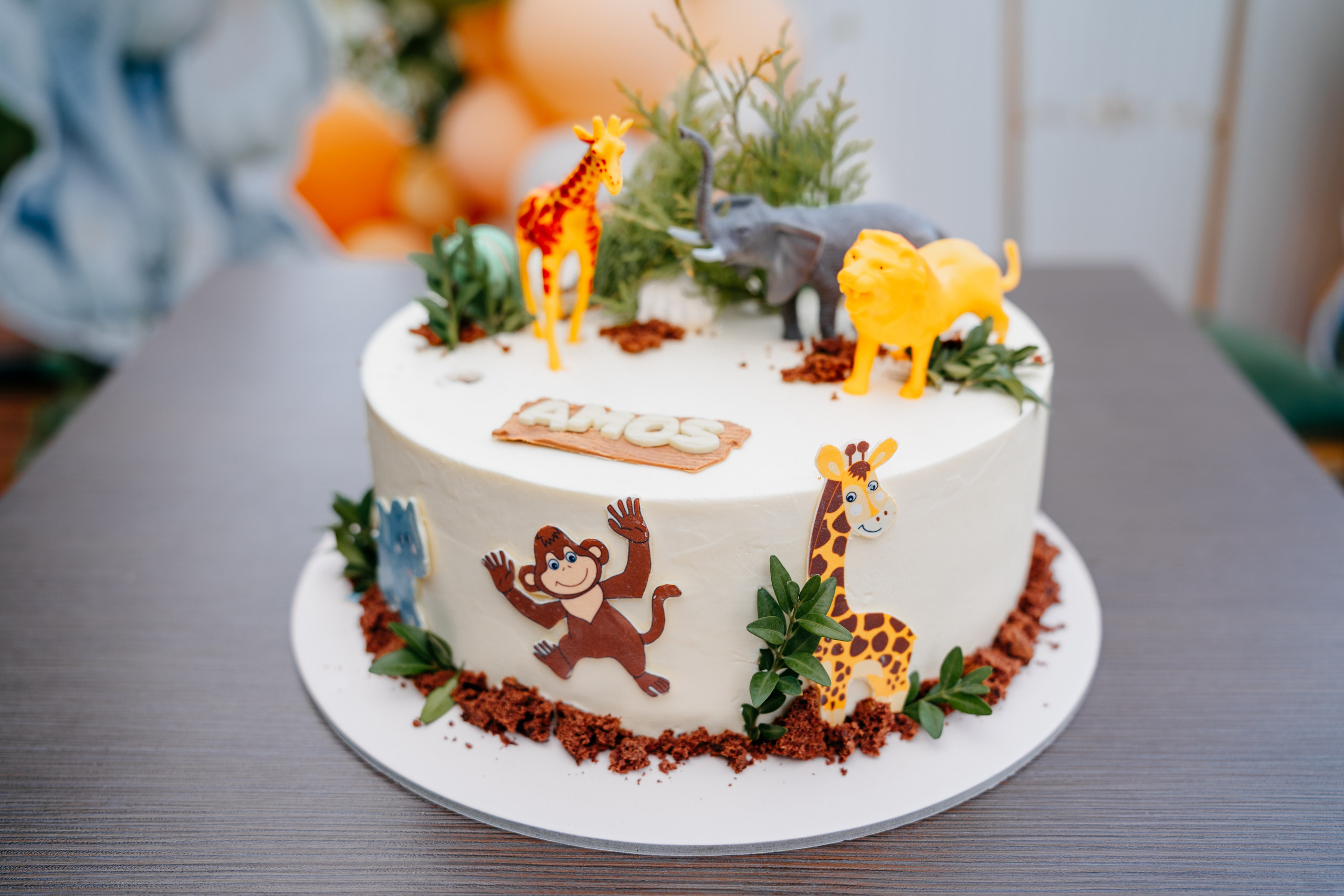 Amos' s 1st Birthday. Fotograf Nunta Iasi - Hearts & Pictures