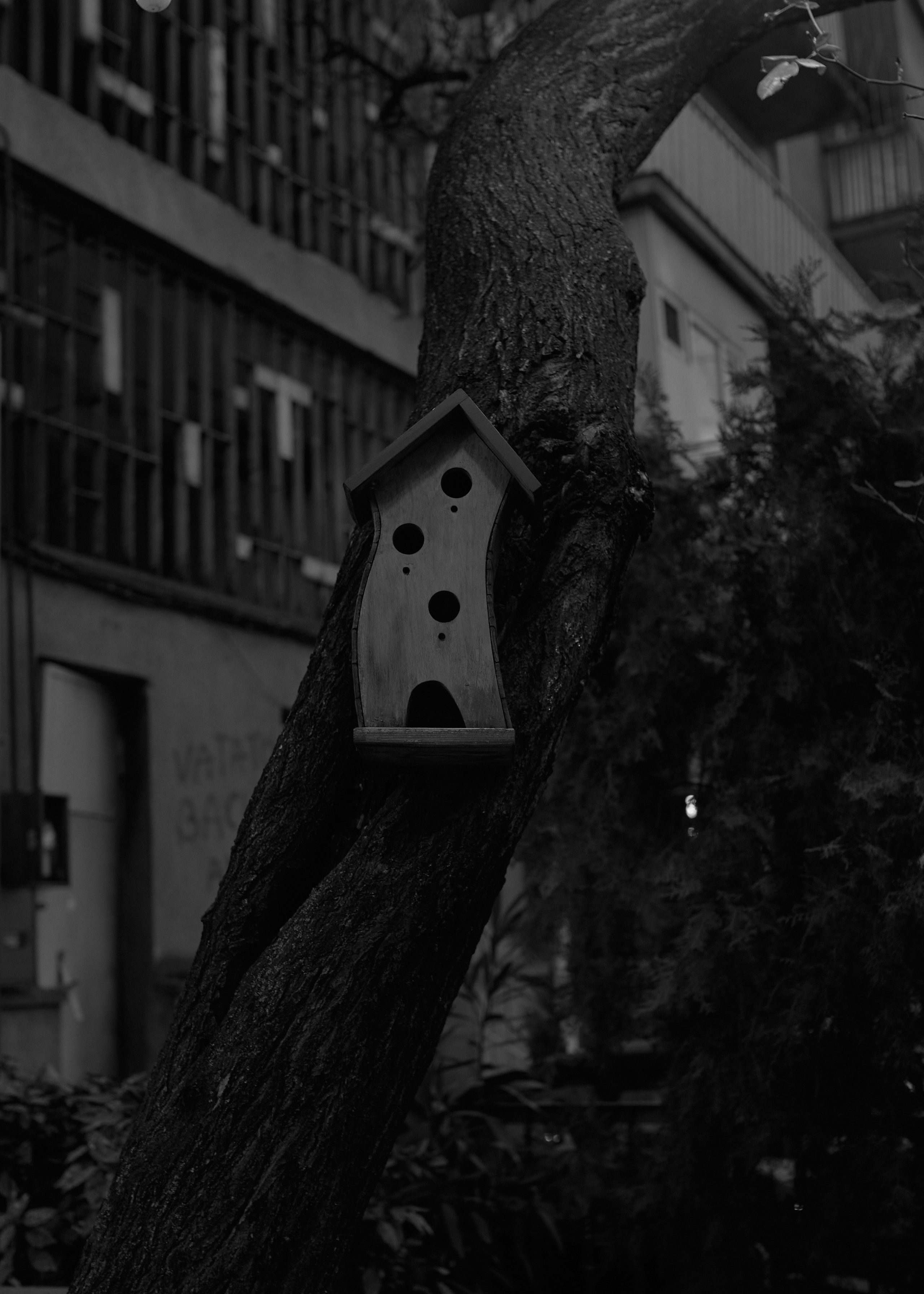 This is not your home. Visual artist