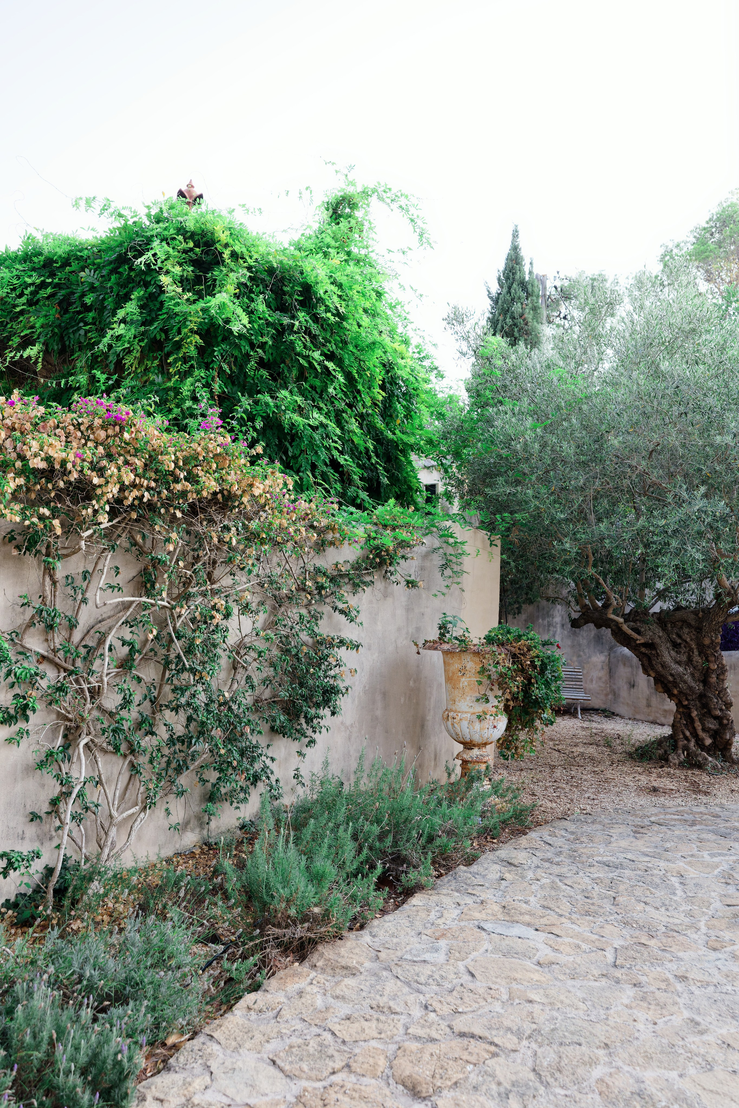 Haldi Ceremony & Mehndi Night & pre-wedding dinner, Barcelona