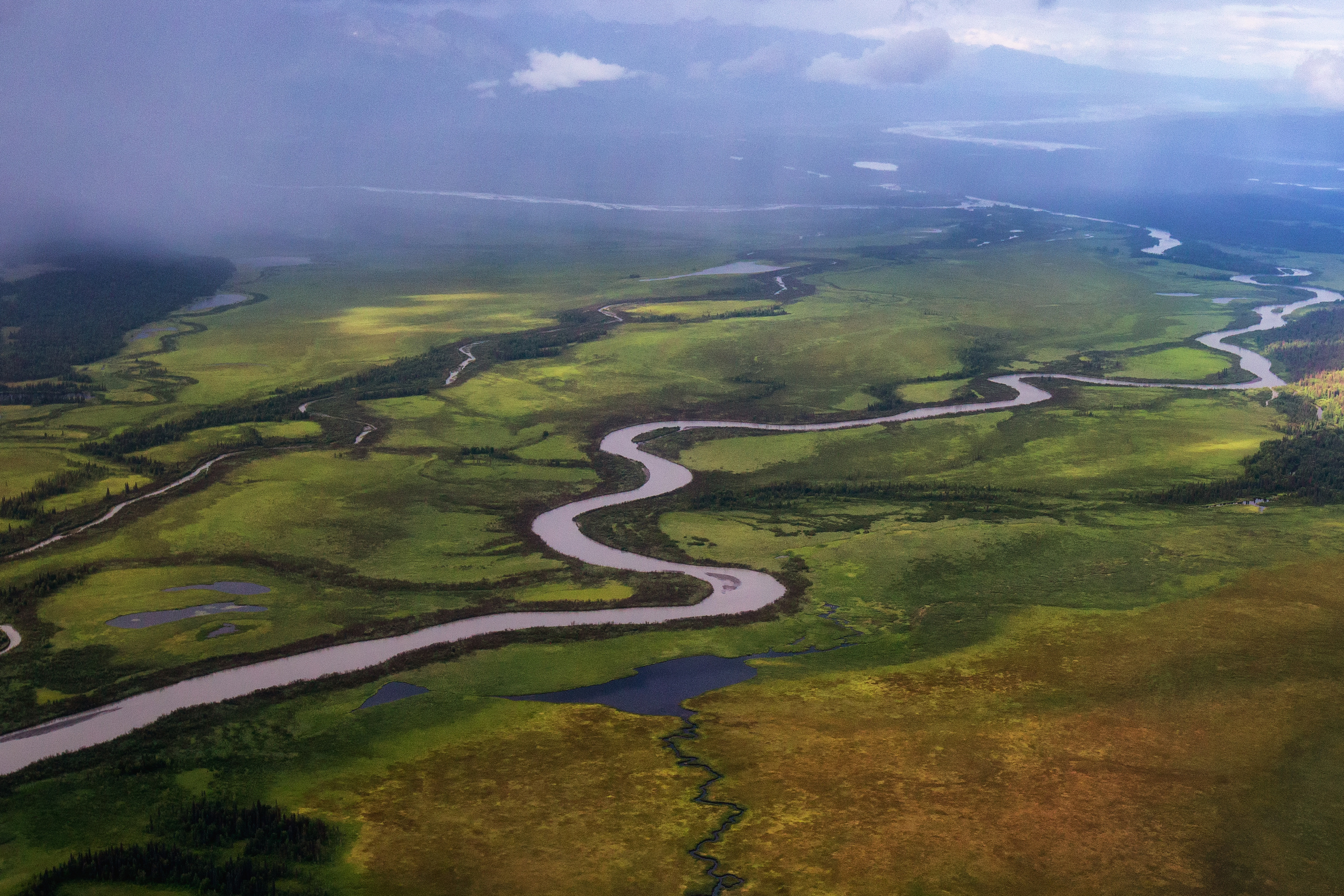 Alaska. Pet, Senior, Landscape, portrait studio, photographer in Miami and Sou