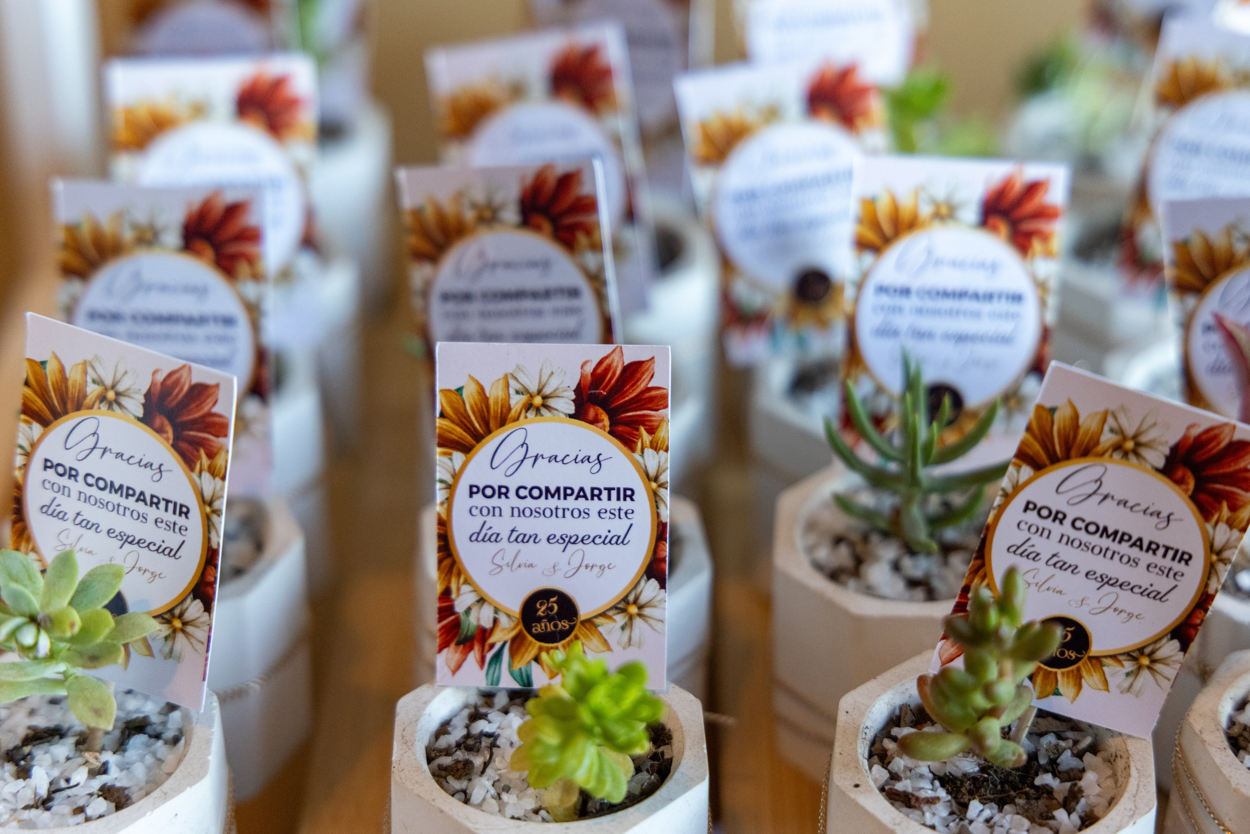 Silvia y Jorge. Dinka & Emilio - El arte de preservar lo que no se repite