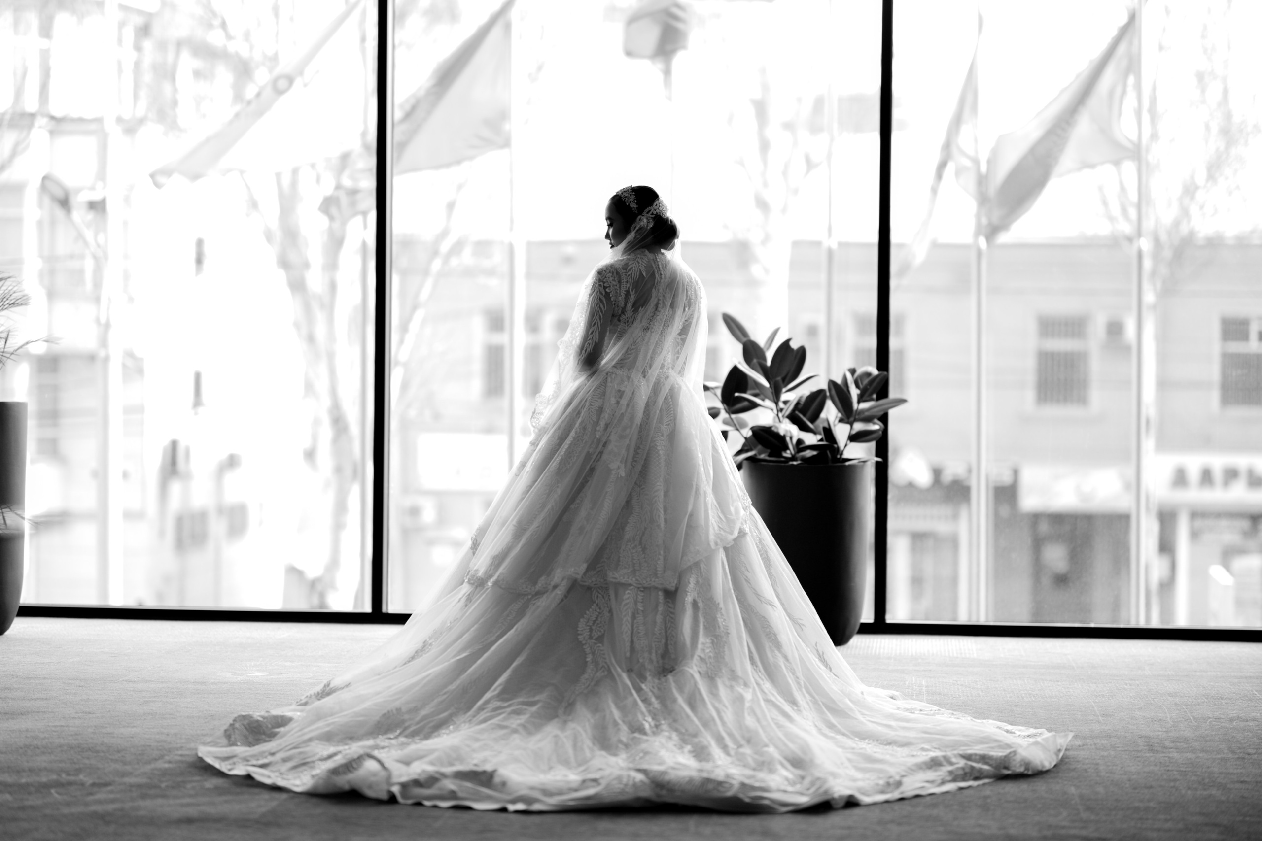 NOVA. Mandarin.photo