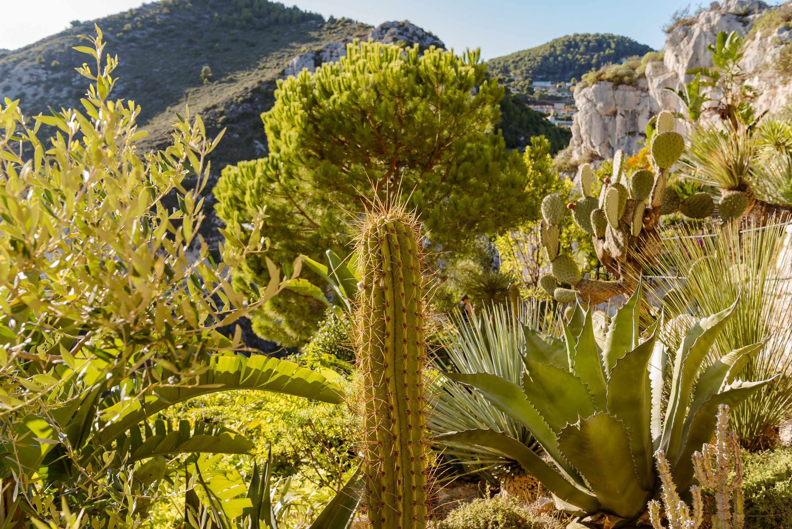 Natalia. Eze. MARIA VALUEVA Fotógrafo en Niza, Cannes, Monaco, Francia, Europe, Estambul, Turquía