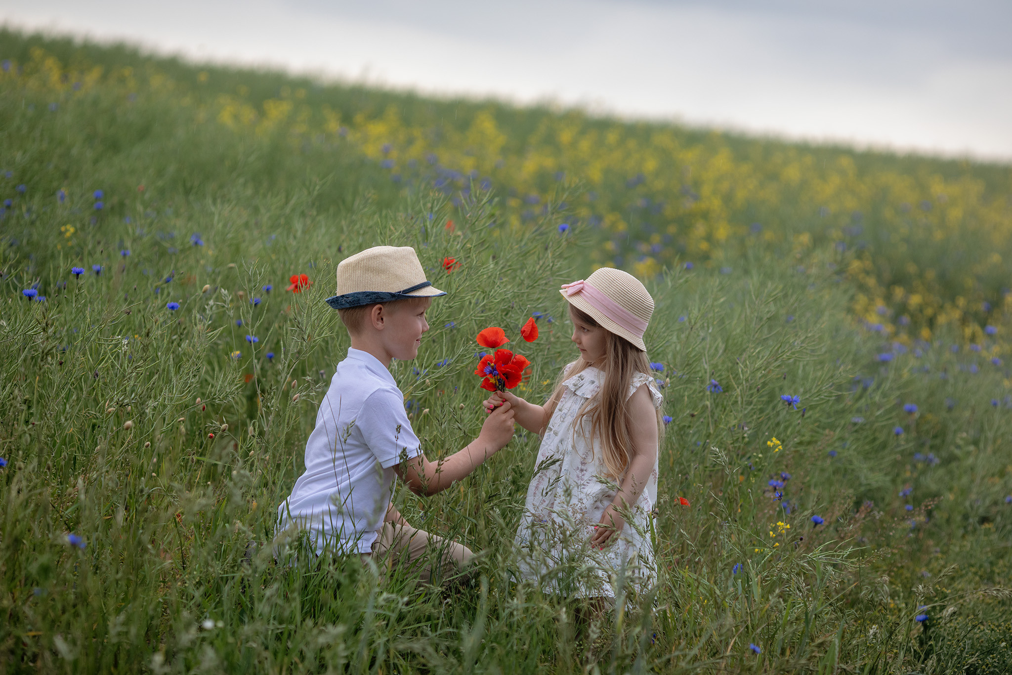 Joanna, Jacek, Julia, Jakub. Fotograf ślubny i rodzinny - Kaszuby, Trójmiasto