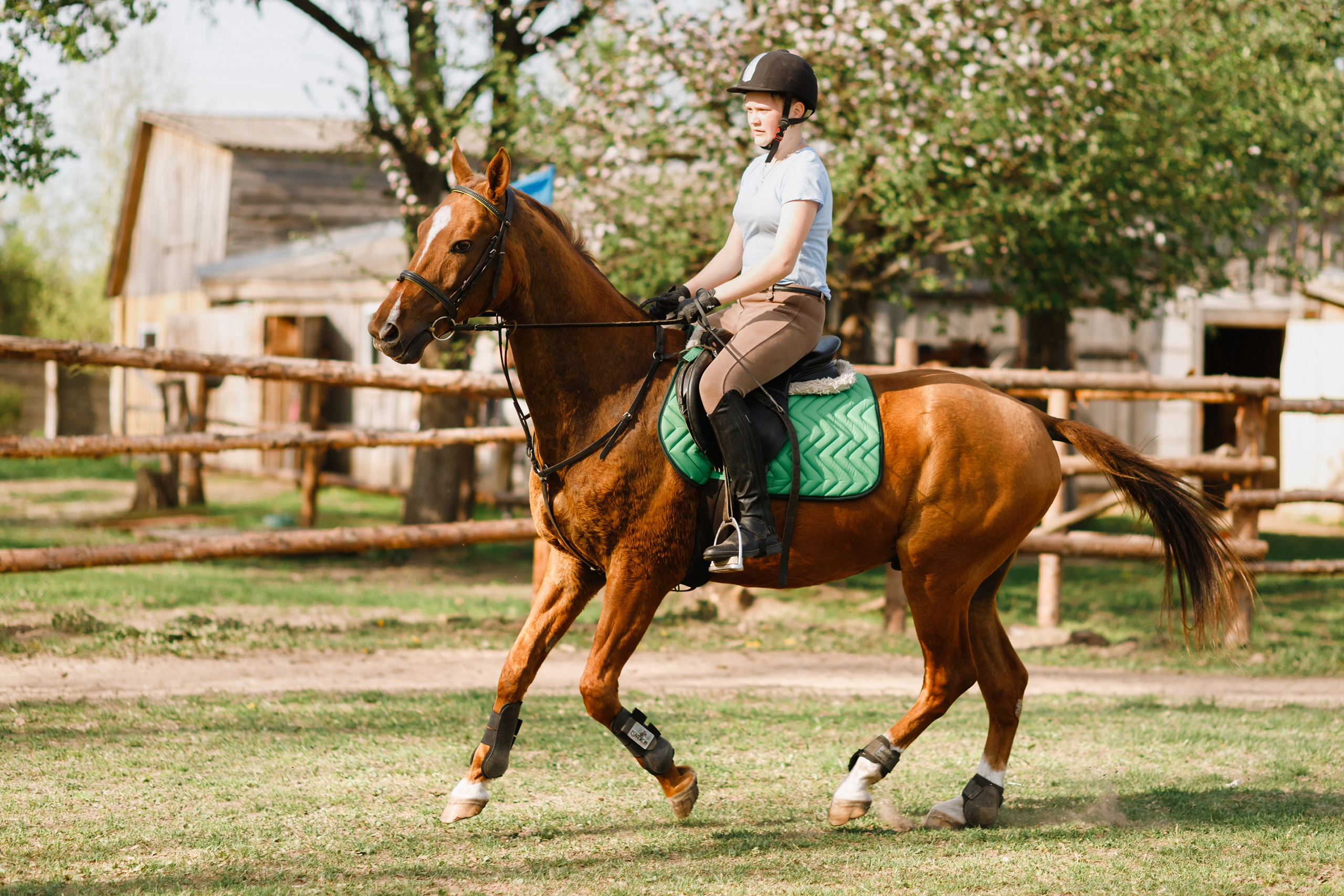 Girls & horses, summer. Kaja | fotograf psów we Wrocławiu