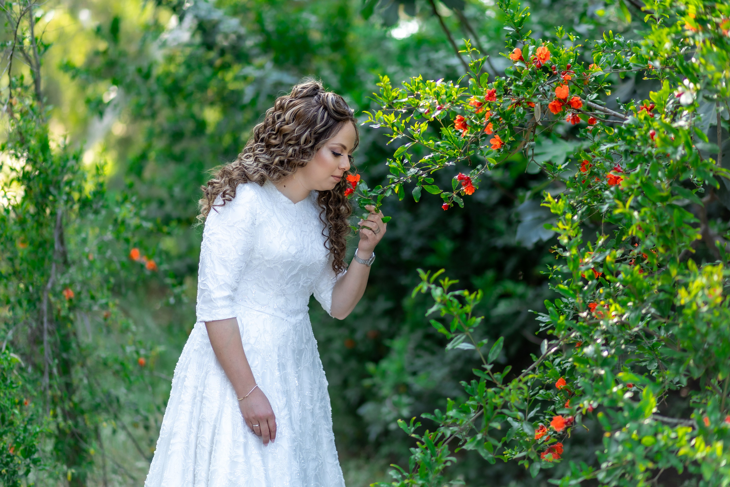 N&C. משה מנשה צלם חתונות
