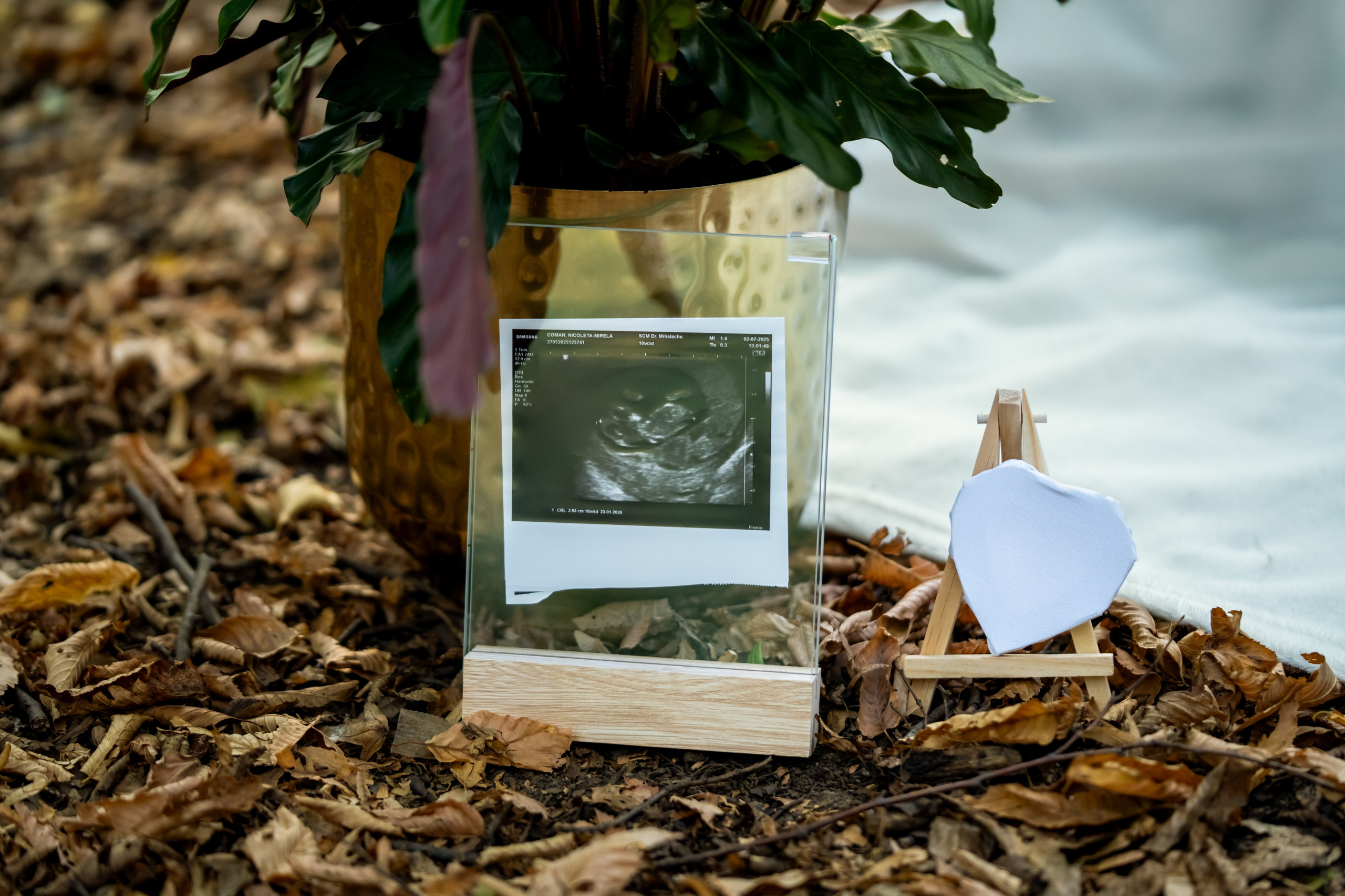 Gender Reveal 2025.08.27
