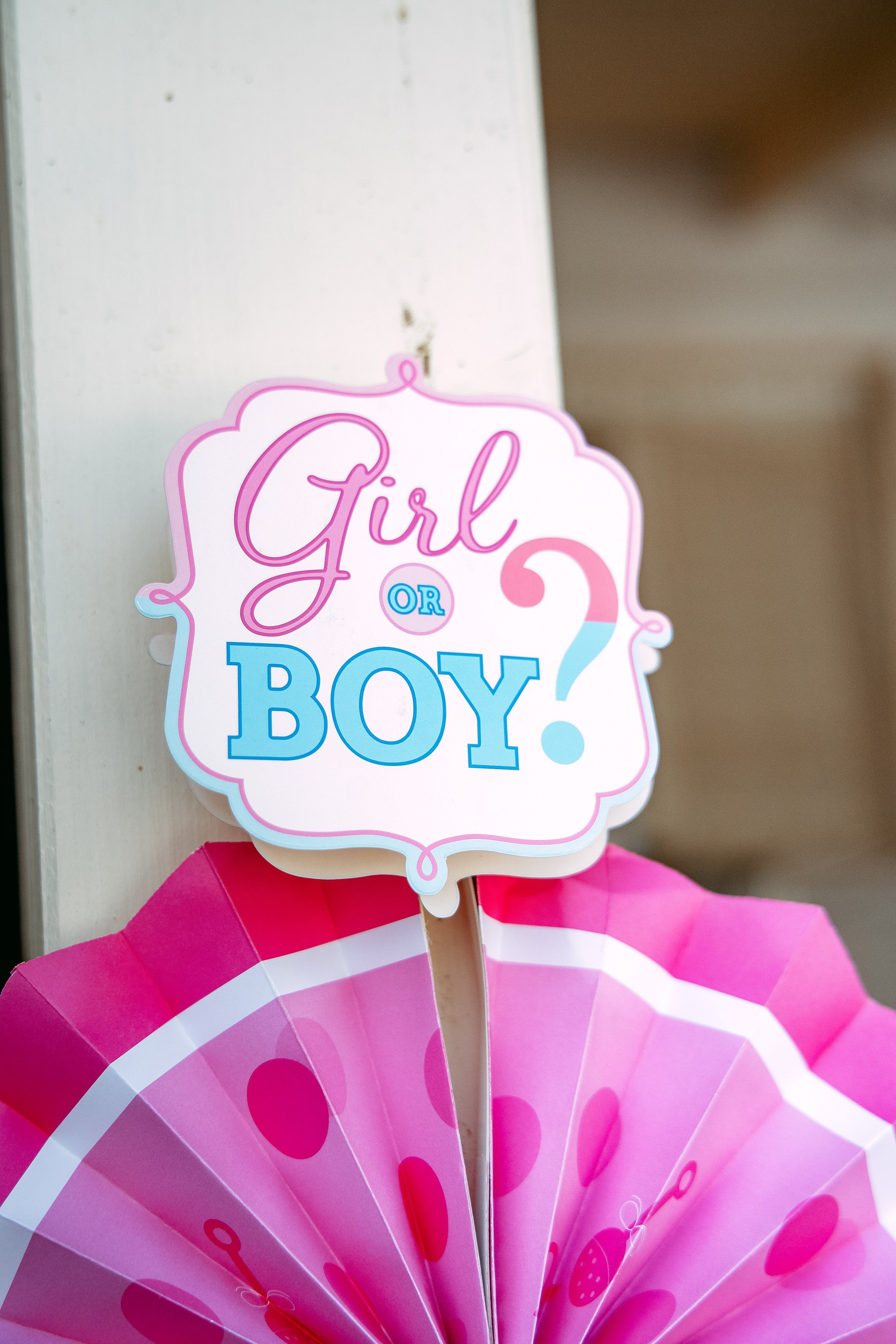 Gender Party for Alina and Michael. Home