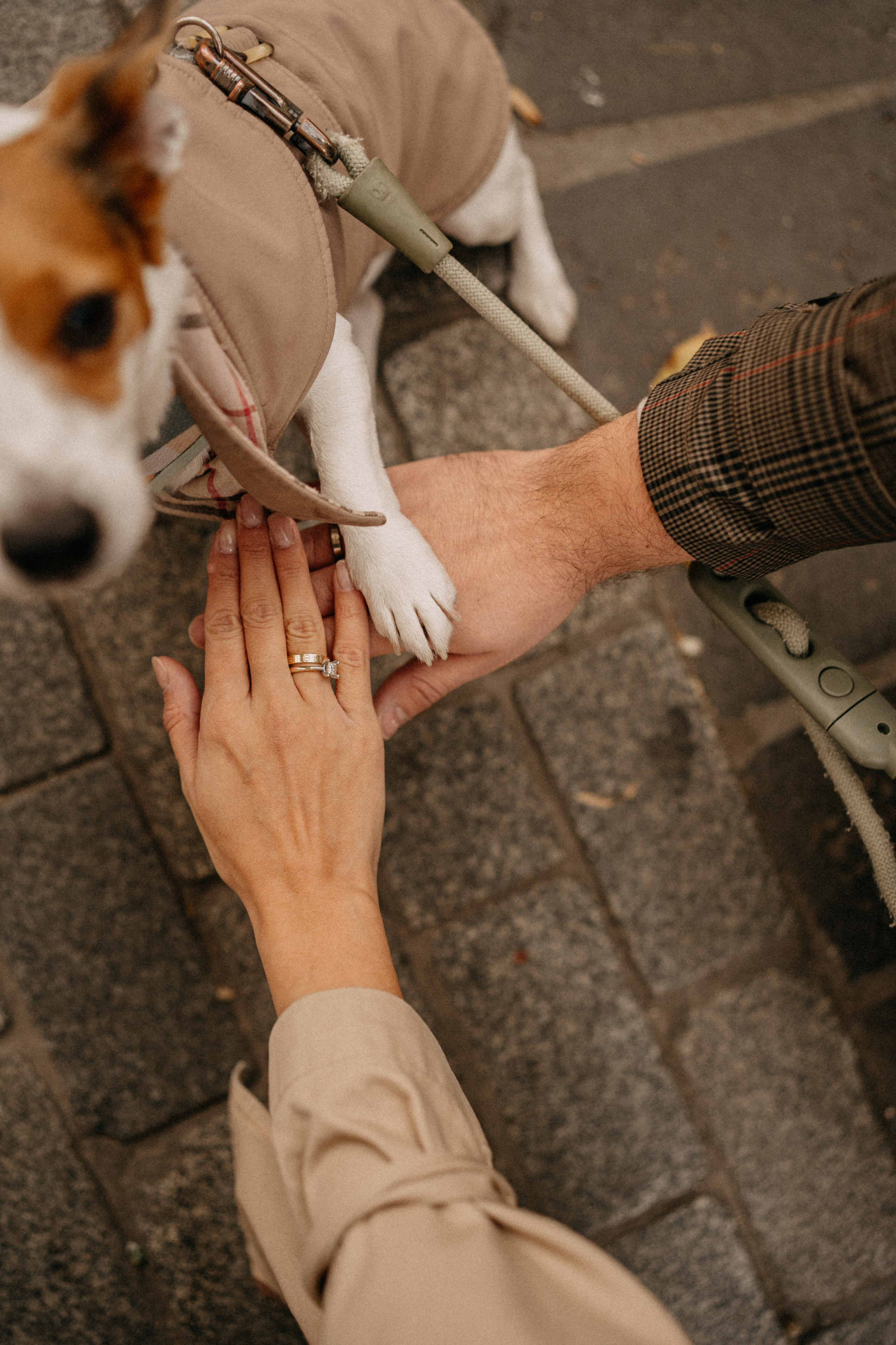 Зу & Саша. Фотограф Москва Ларина Юлия