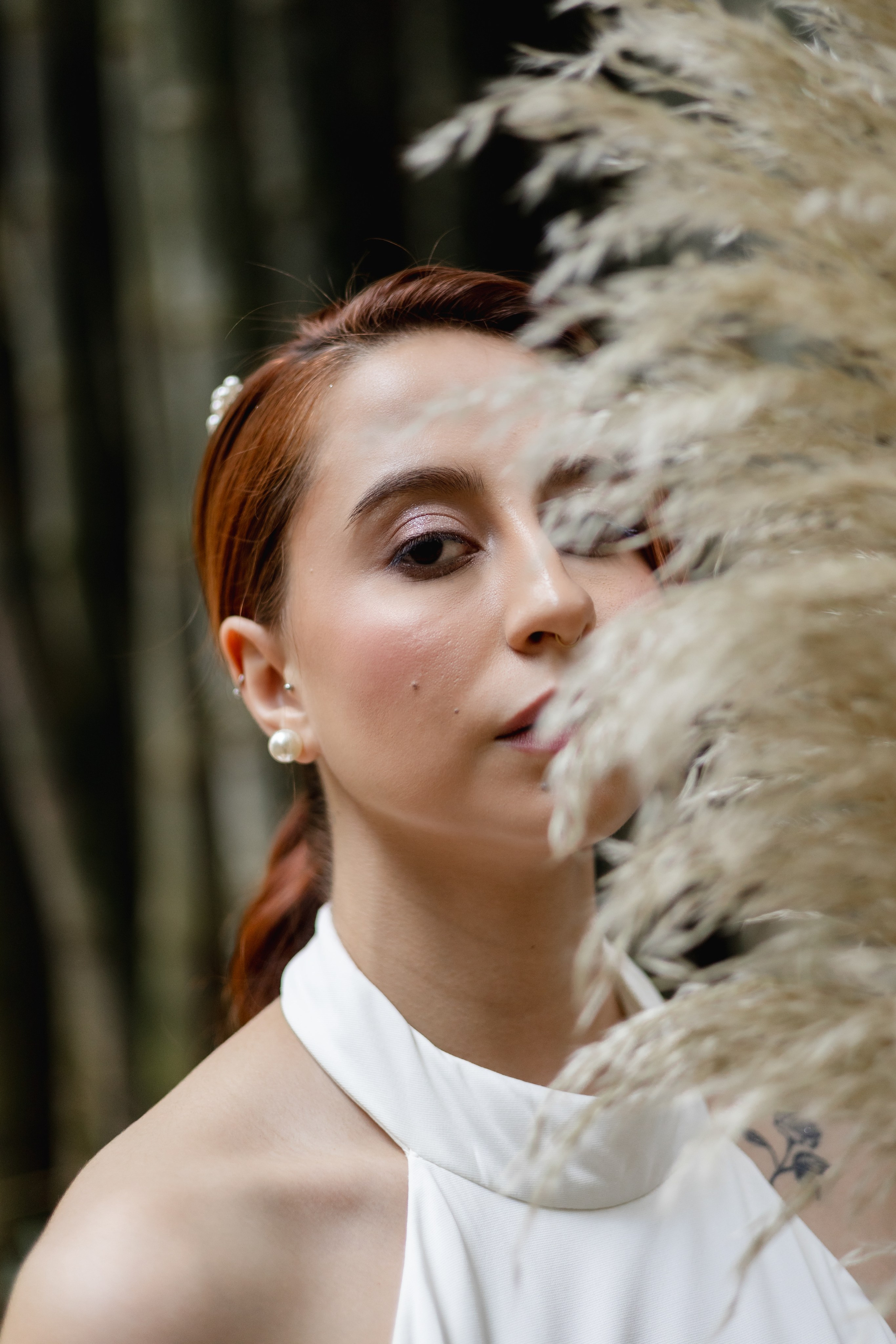 Editorial Dom Brunello