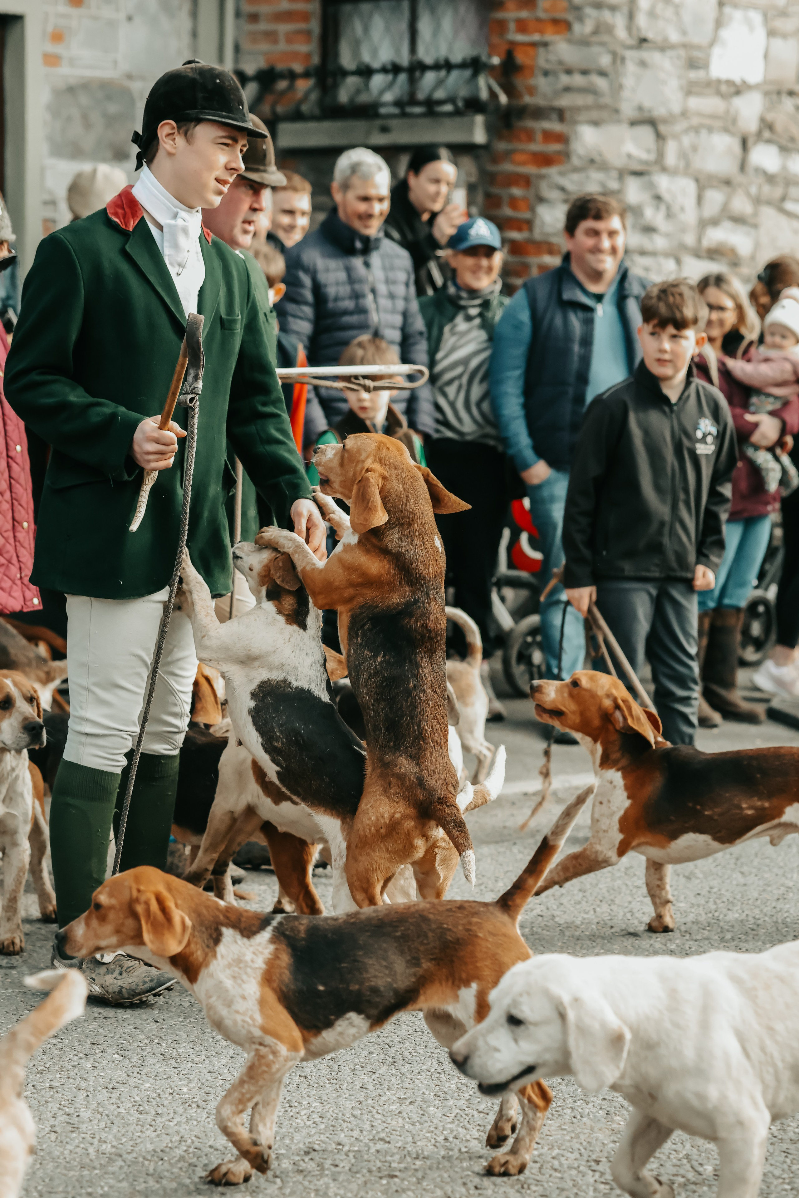 Hunting. Photographer Co Dublin, Balbriggan — Agata Maliseva