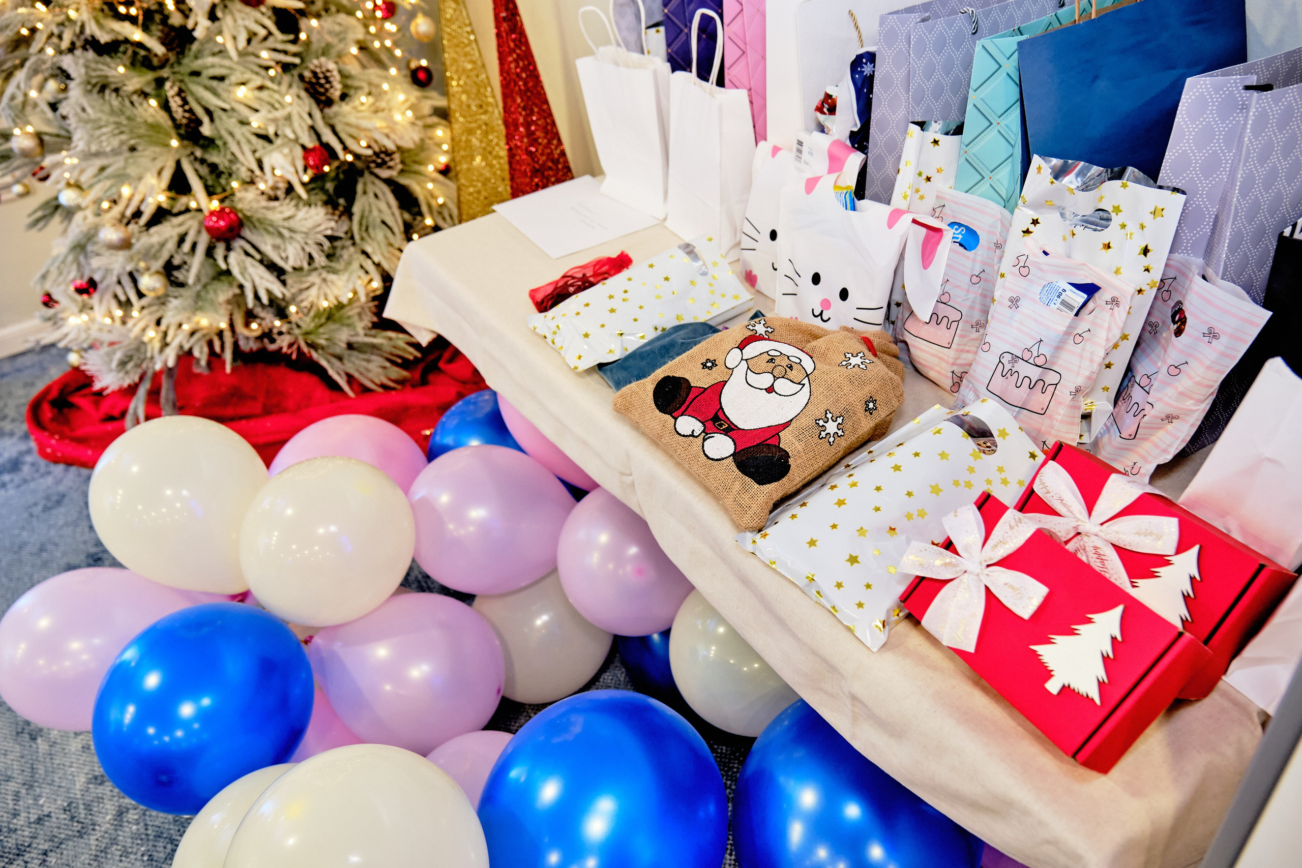 Фоторепортаж з благодійного Новорічного балу у Чорногорії. Портретний фотограф Альона Новгородцева