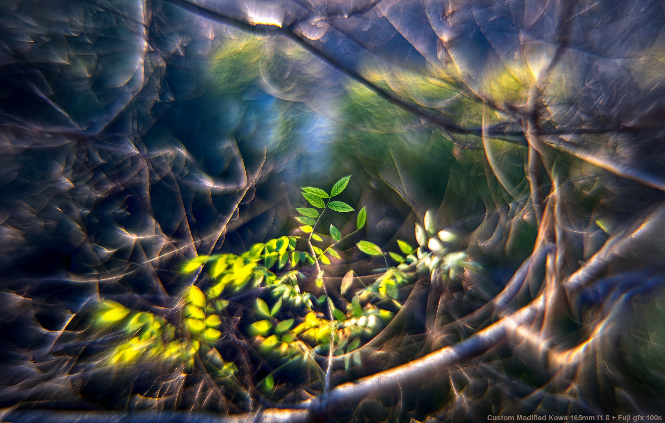 Kowa Custom Modified Projection lens 165mm f1.8 + GFX 100s. Emin Kuliyev — Award-Winning Wedding Photojournalist NYC & USA | Best Wedding Photographer Known for Candid, Timeless Moments