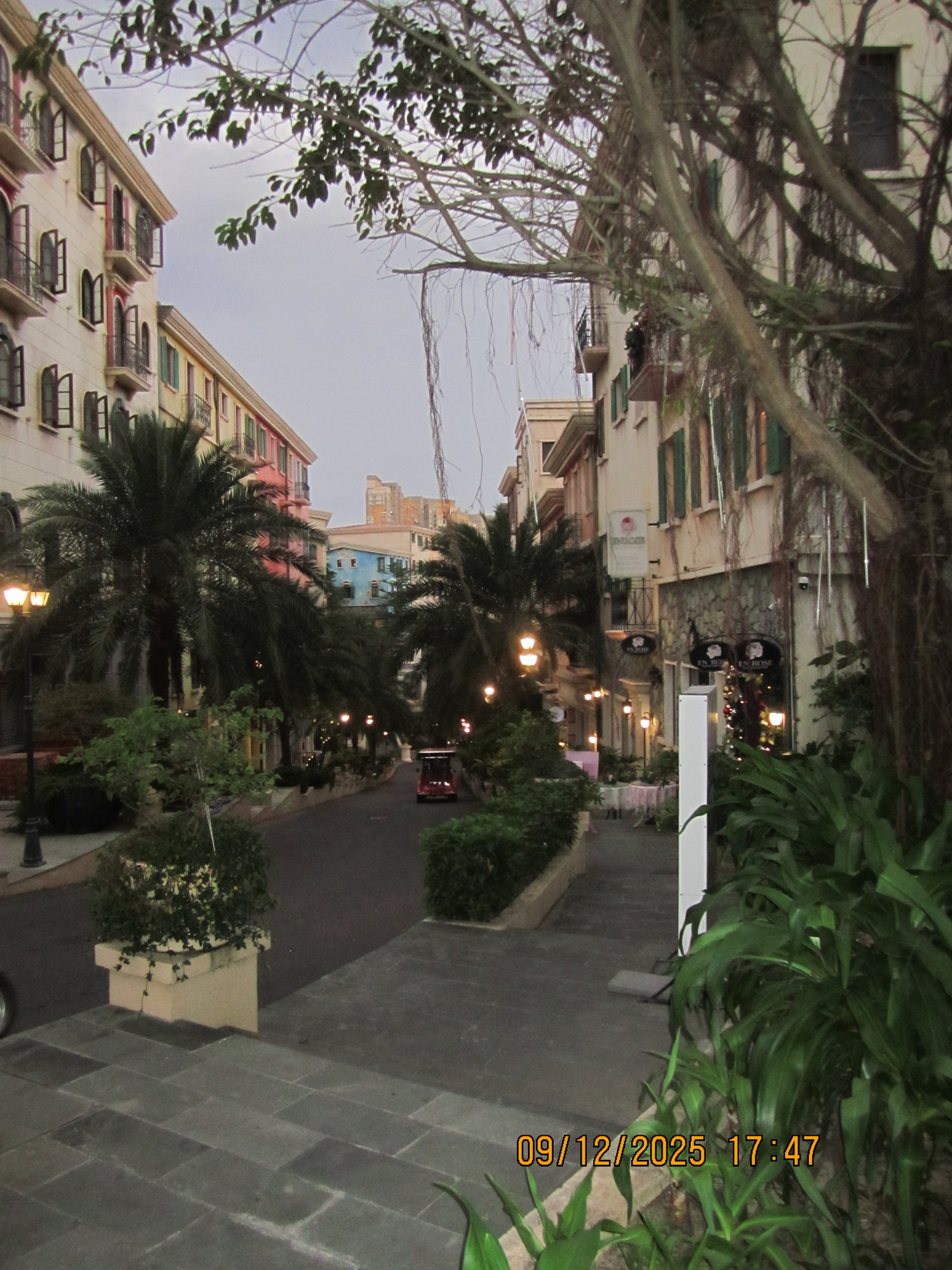 Пятнадцатый день. LondoSpeed Photography