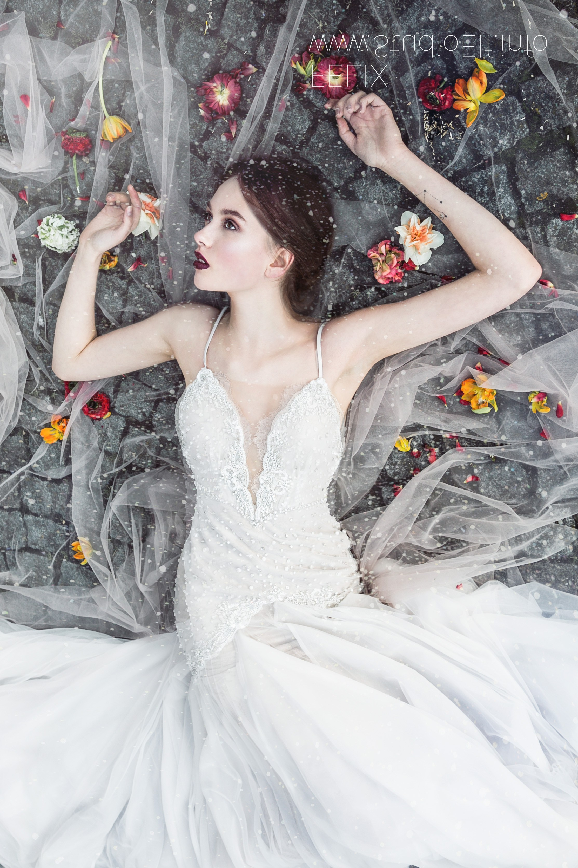 🏀 ALBUM « MARIAGE ». Félix - Photographe professionnel à Paris